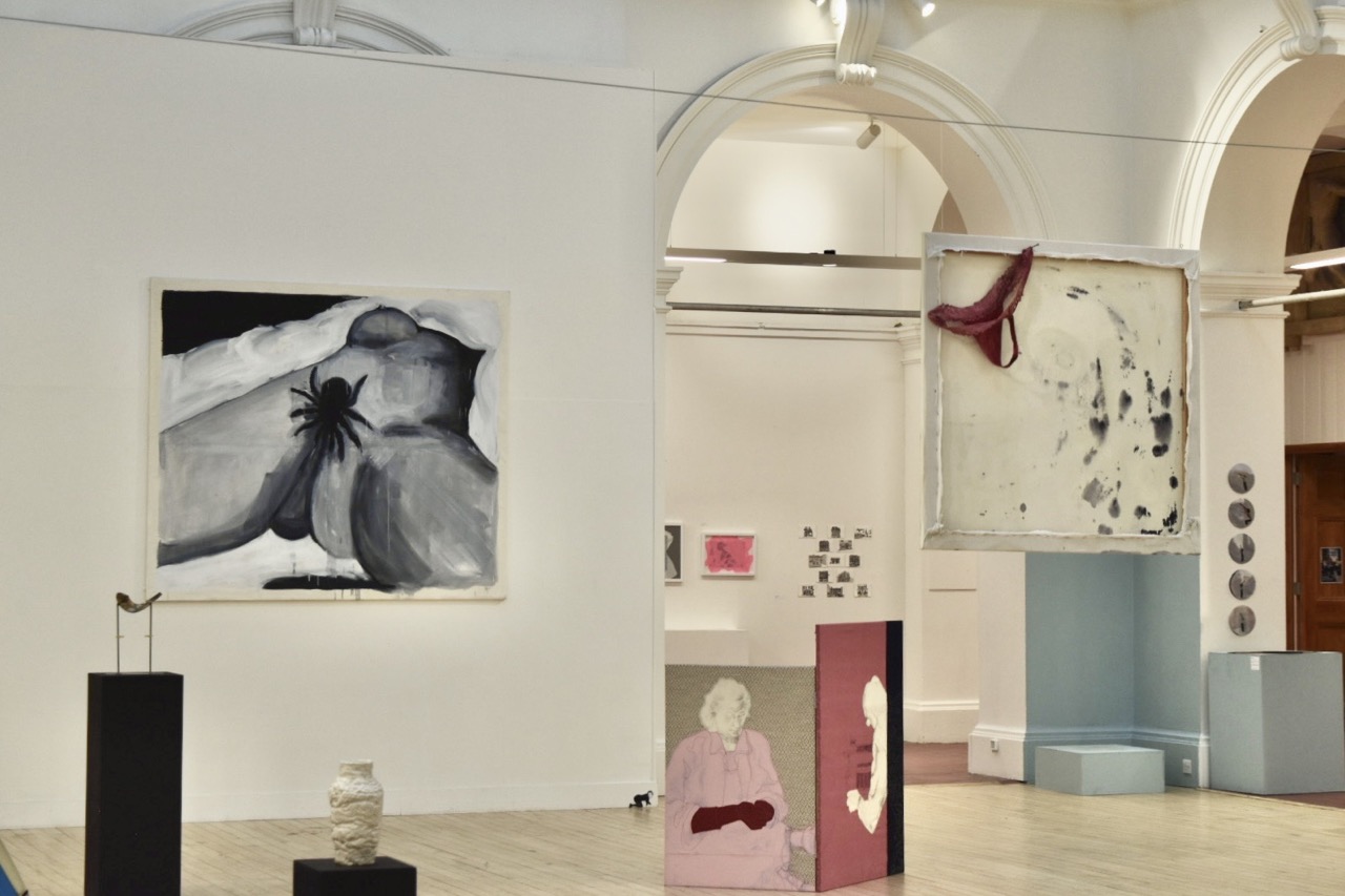exhbition setting with a large spider pubes painting with a suspended painting in front with a hanging thong behind it 