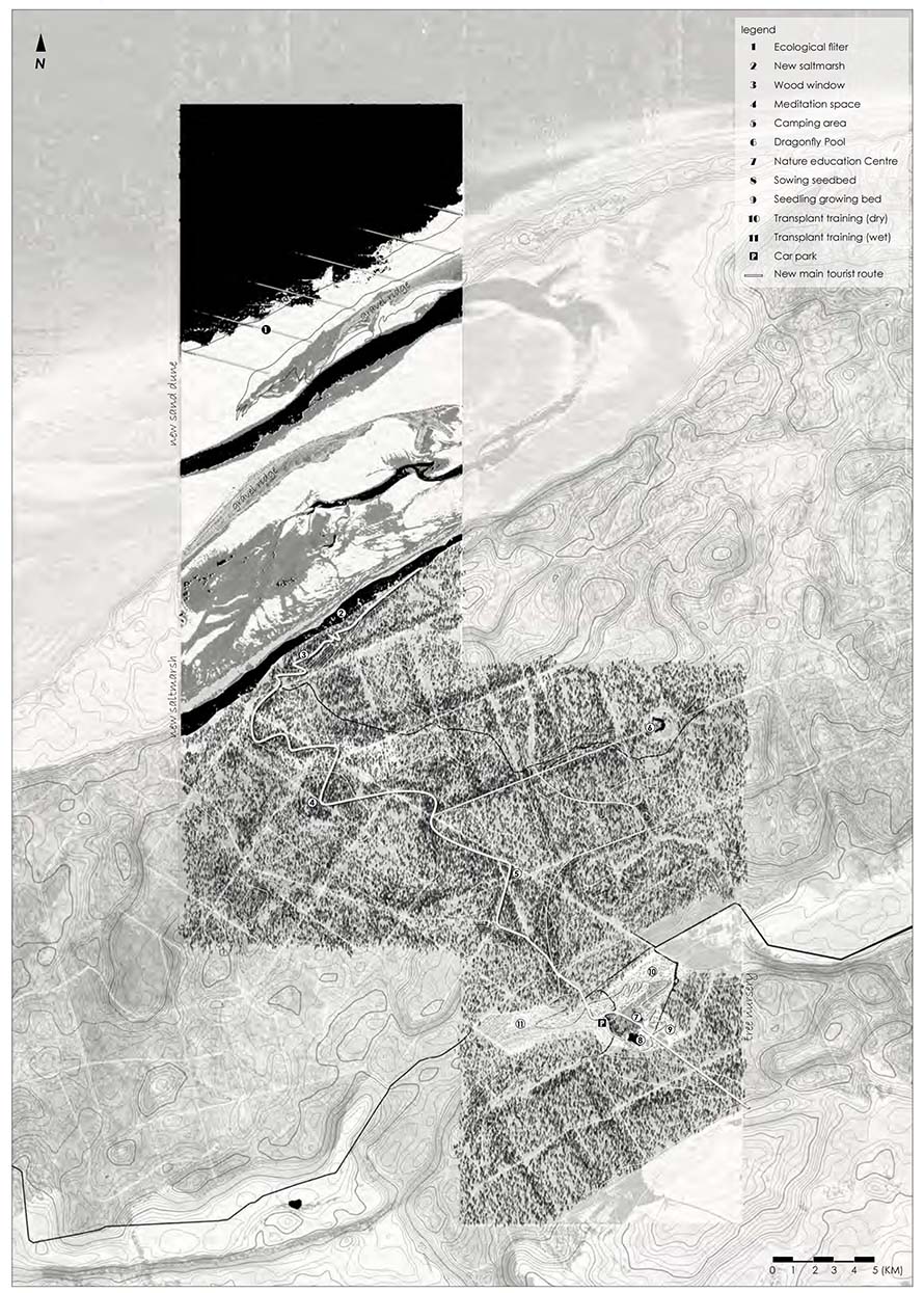 Interweaving Ecology and Phenomenology