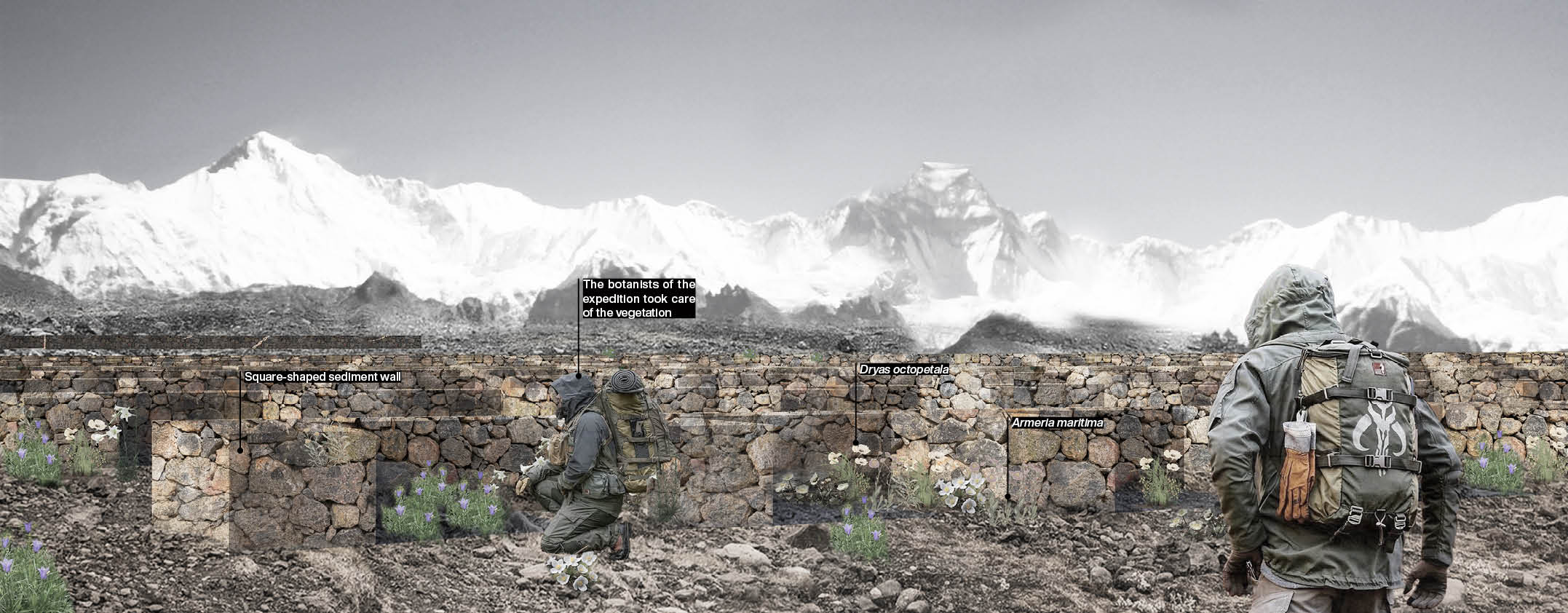 Square-shaped planting area vision at 2050