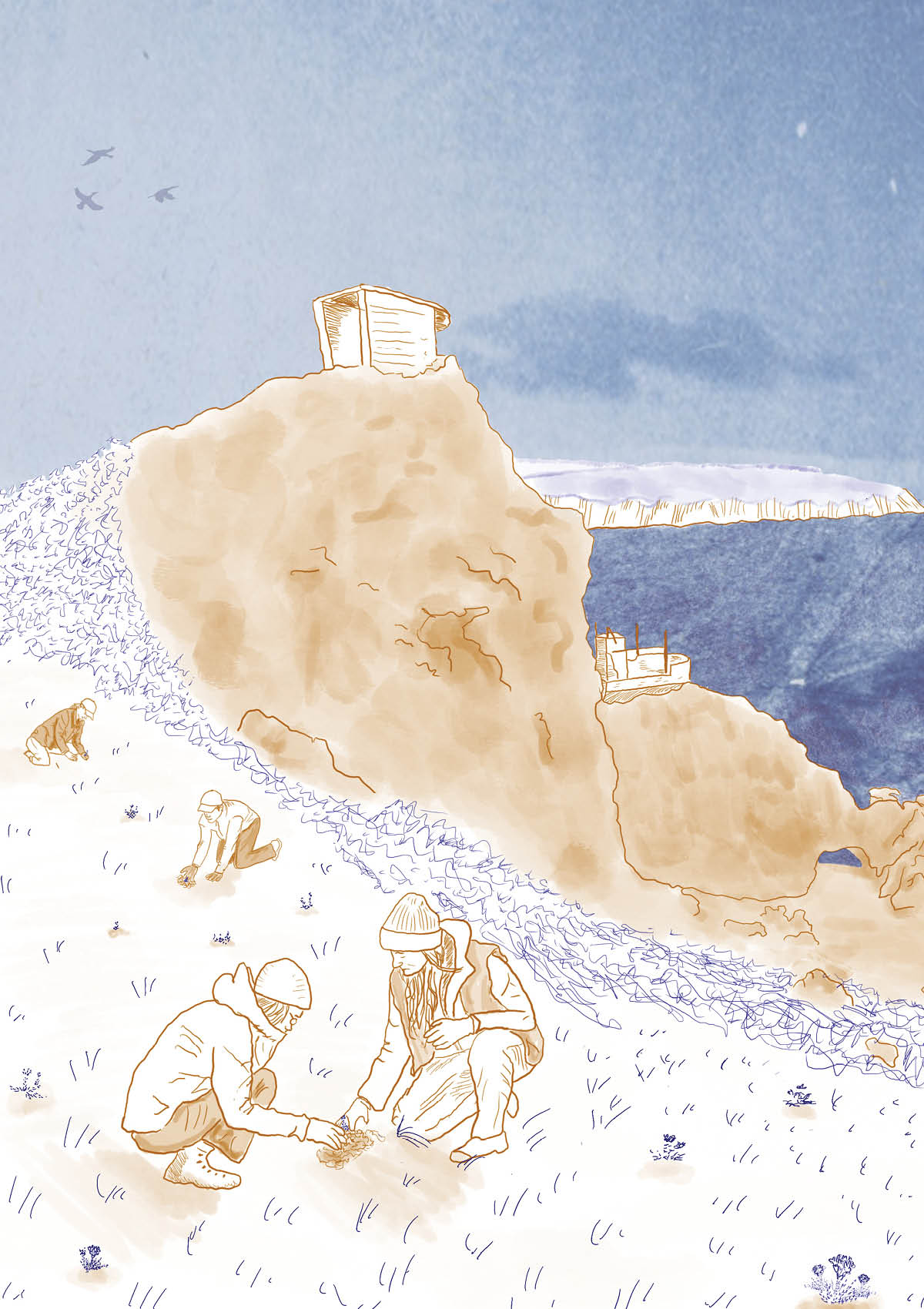 Community plants flowers on the cliffside