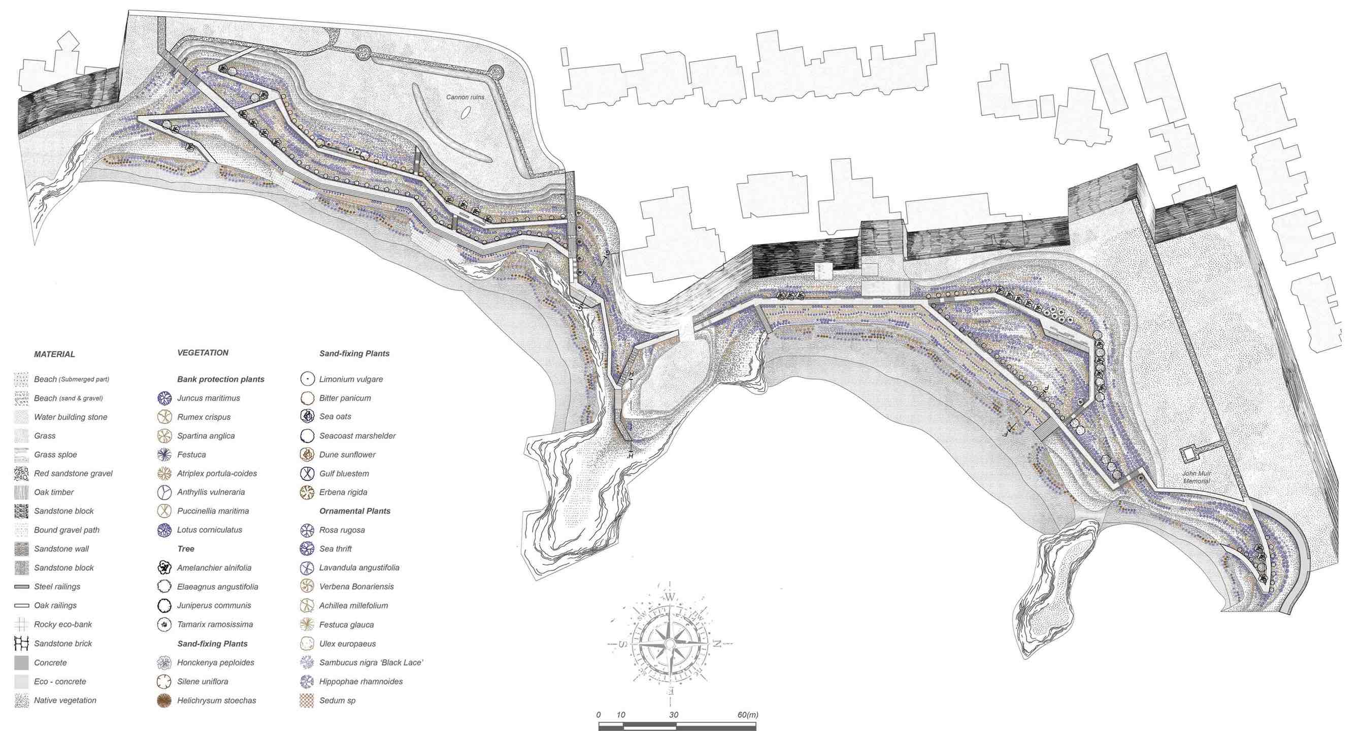 Rocky Coastal Path Detail Focus Area Master Plan