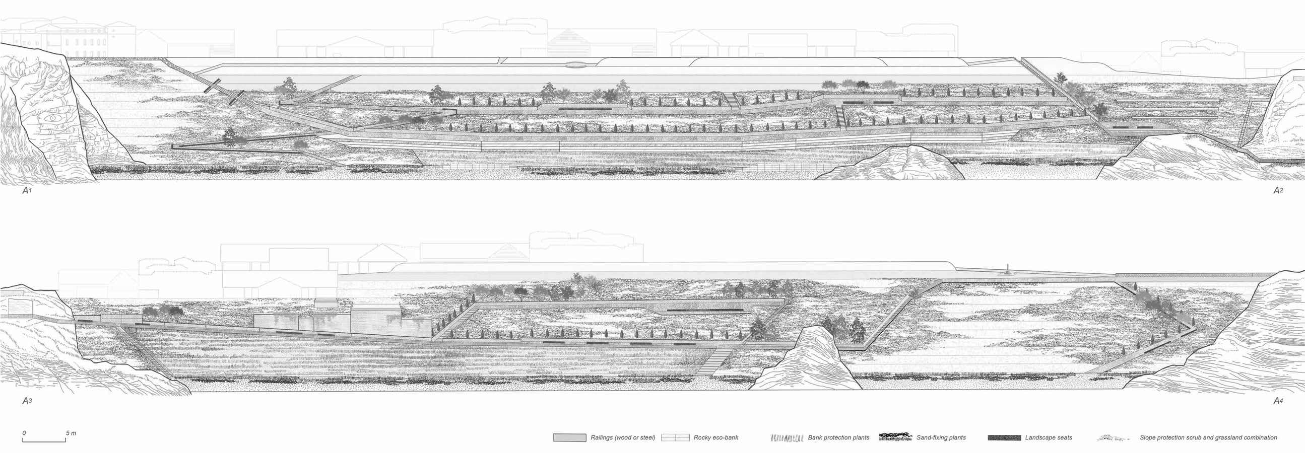 Longitudinal Section