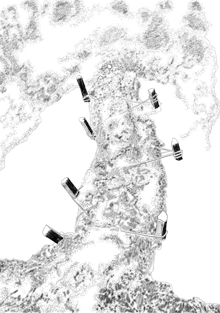 Growing Free --- Coir Rolls