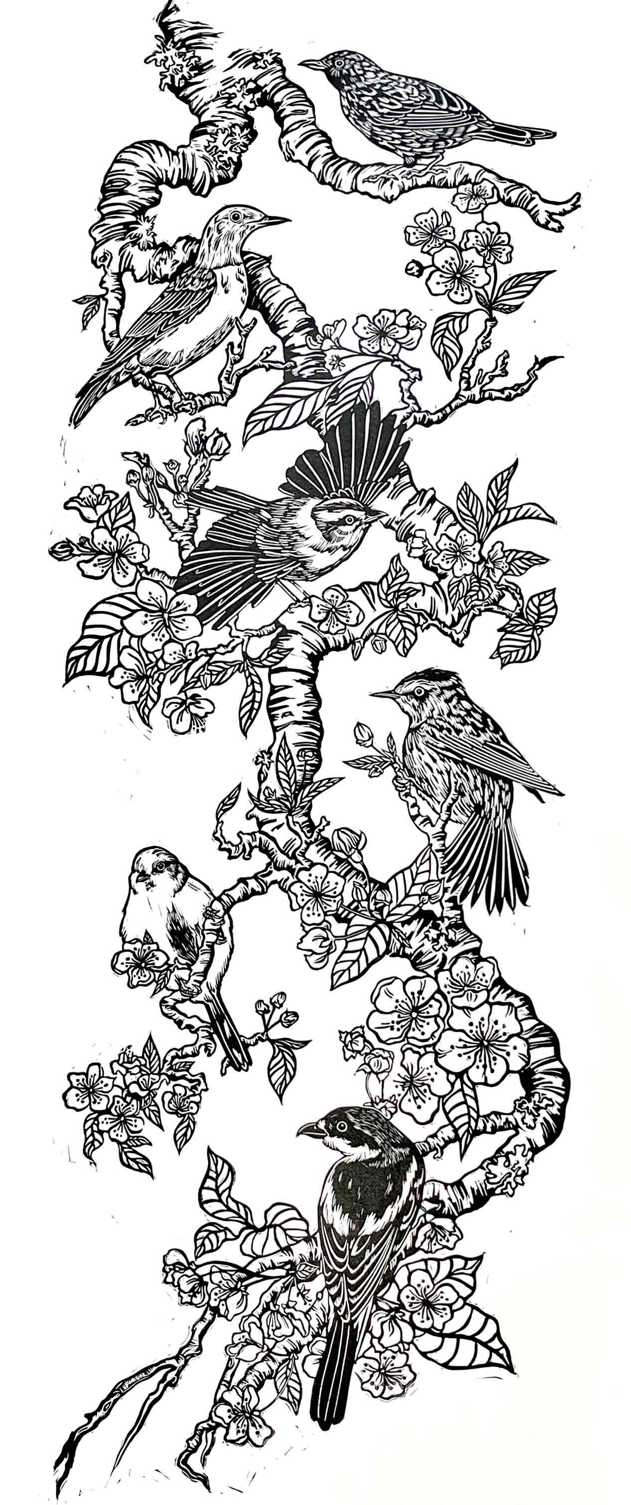 Black and white linoprint of 6 birds sitting on a pear tree's branch