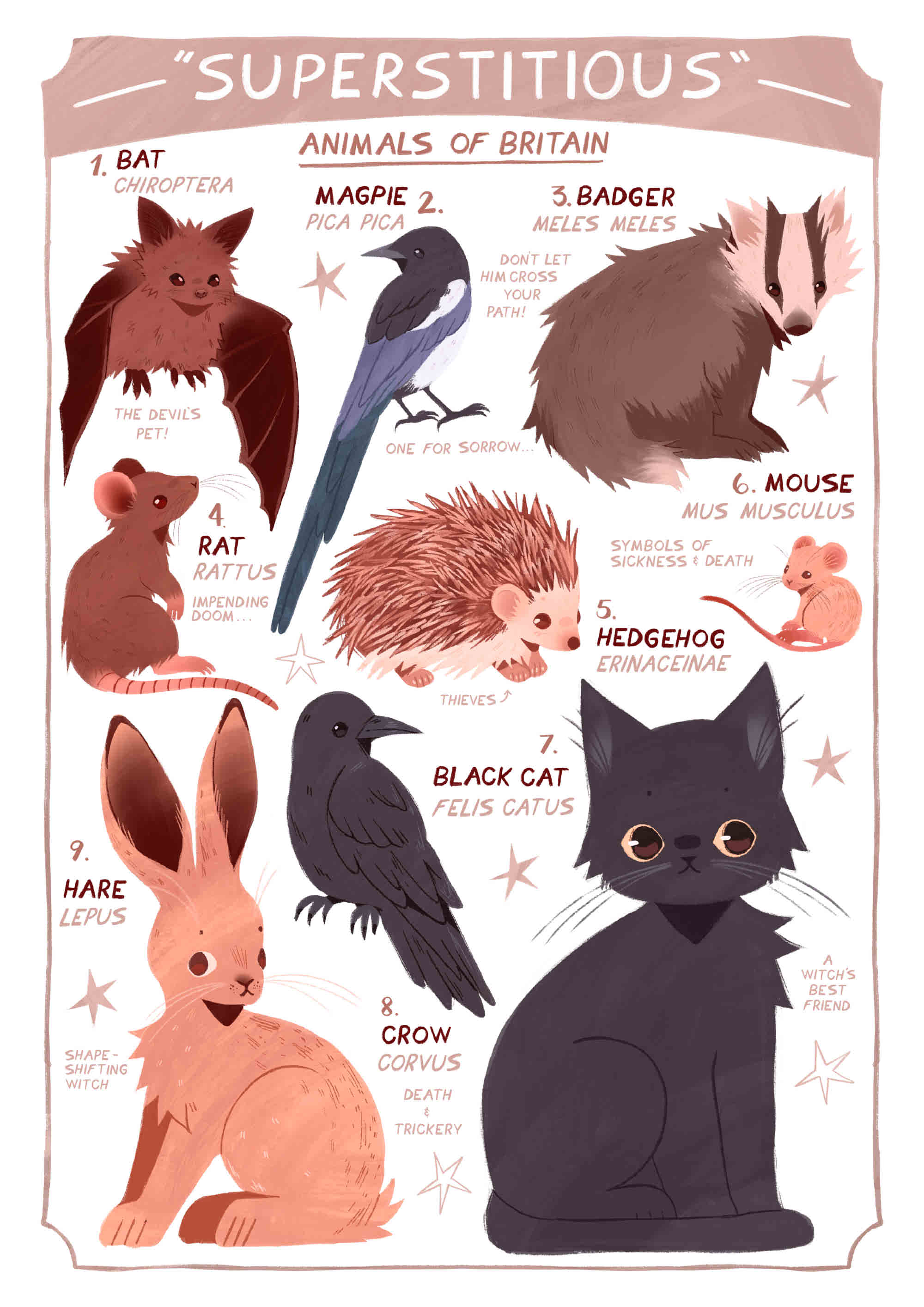 A poster depicting 9 animals with the title "Superstitious animals of Britain".