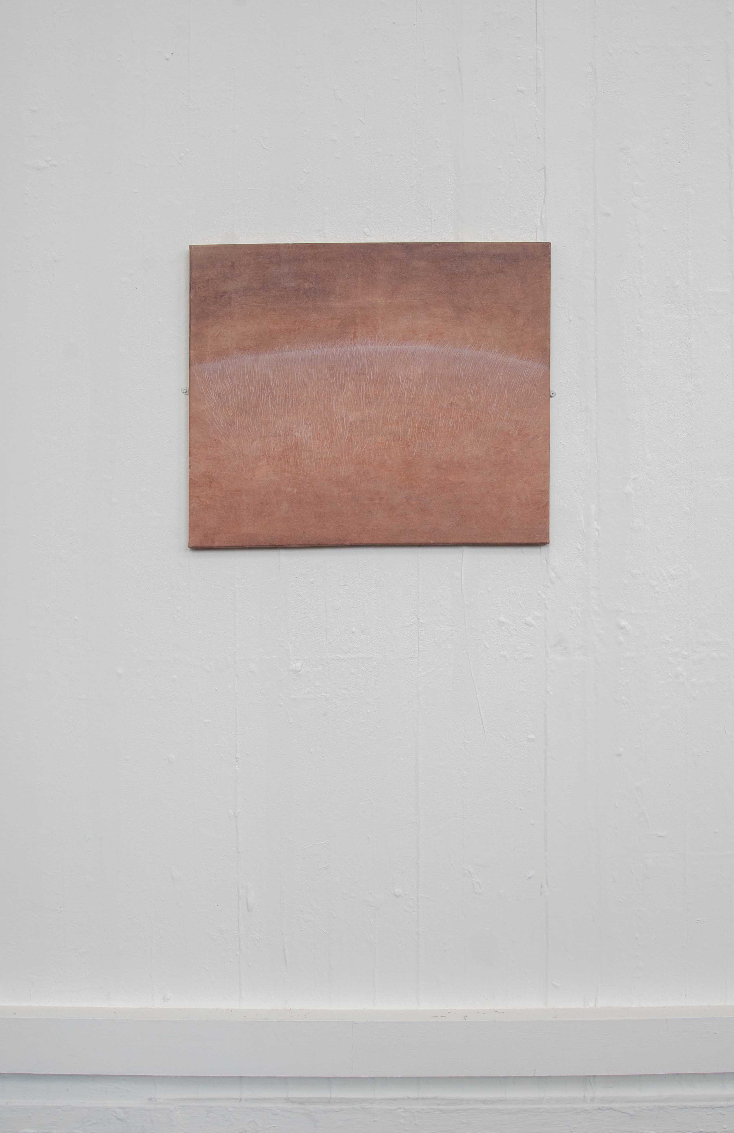 Echoes of Skin (Wide Shot)