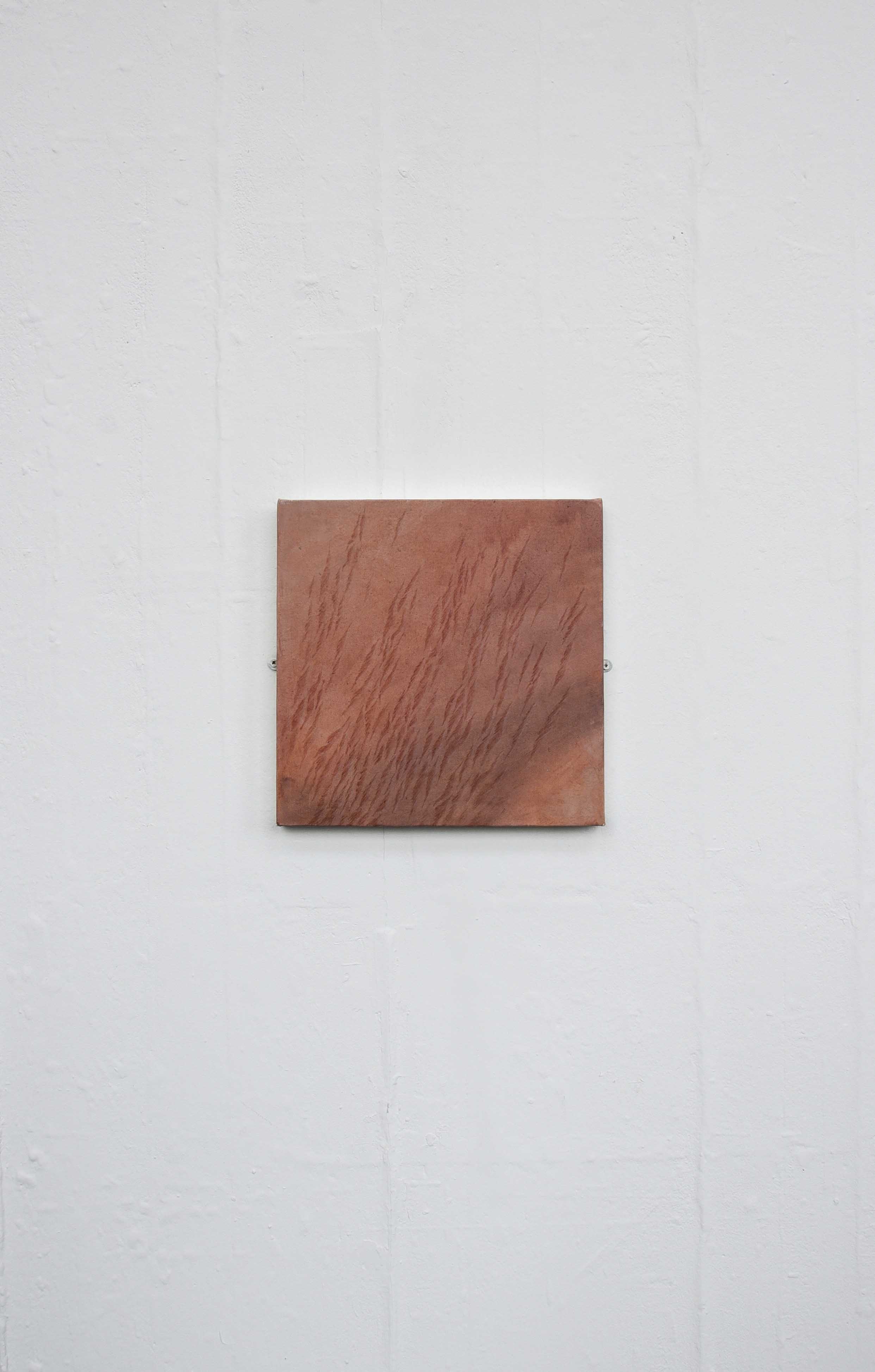 Tectonic Flesh (Wide Shot)