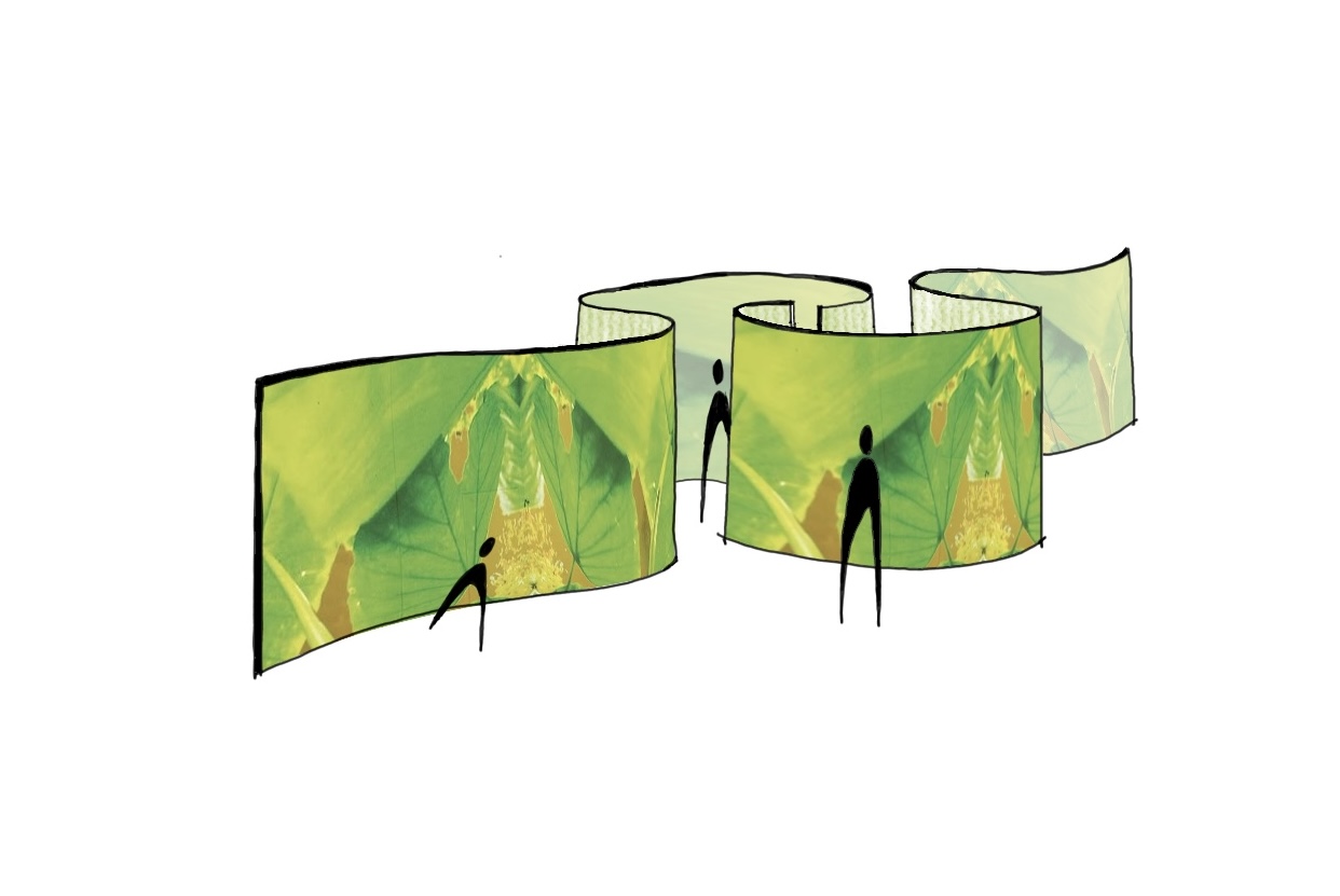 Gallery illustration
