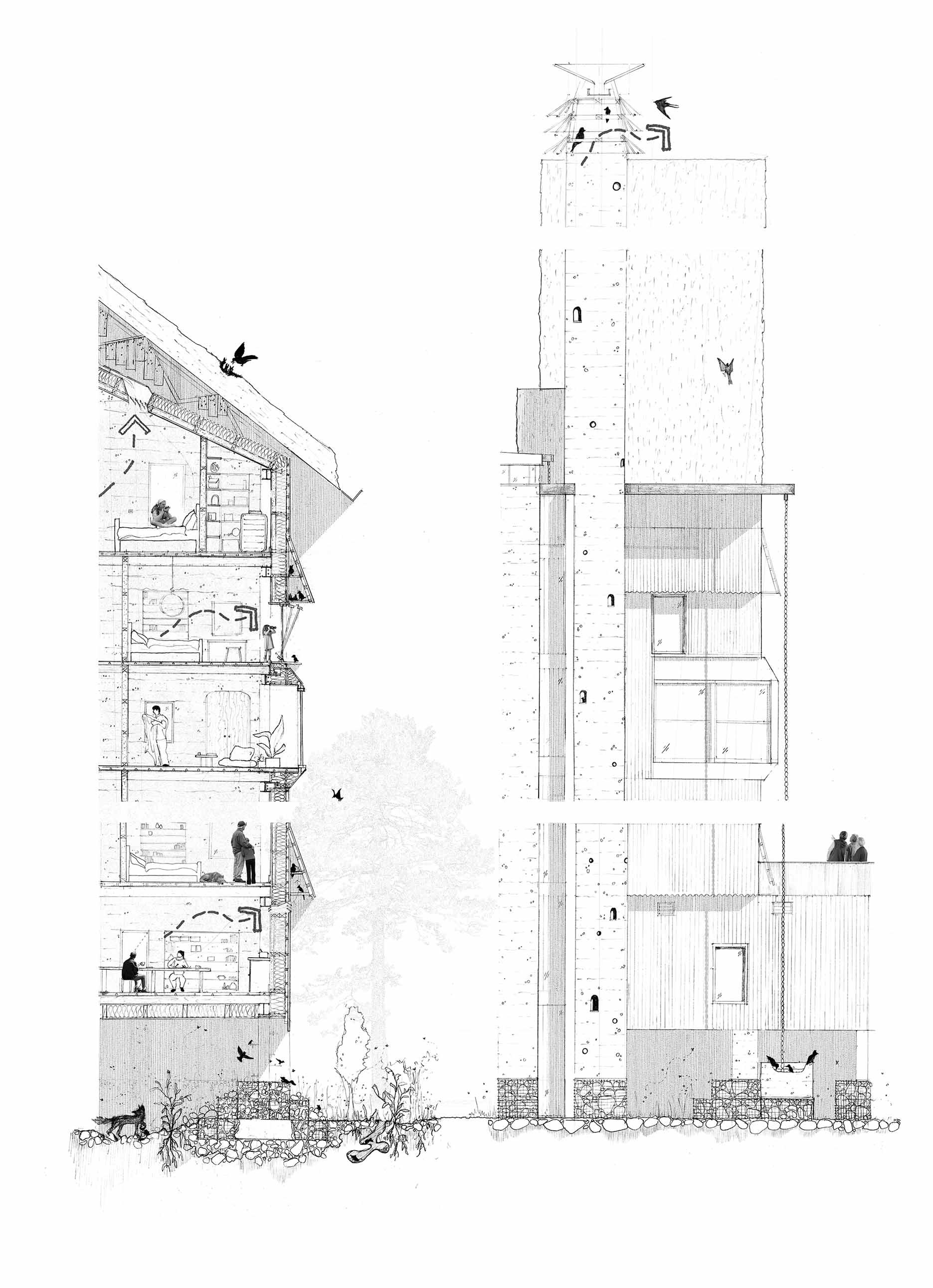 Hearth of Co-habitation. Inhabiting the Interface. Detail Section. Pencil. 1:50