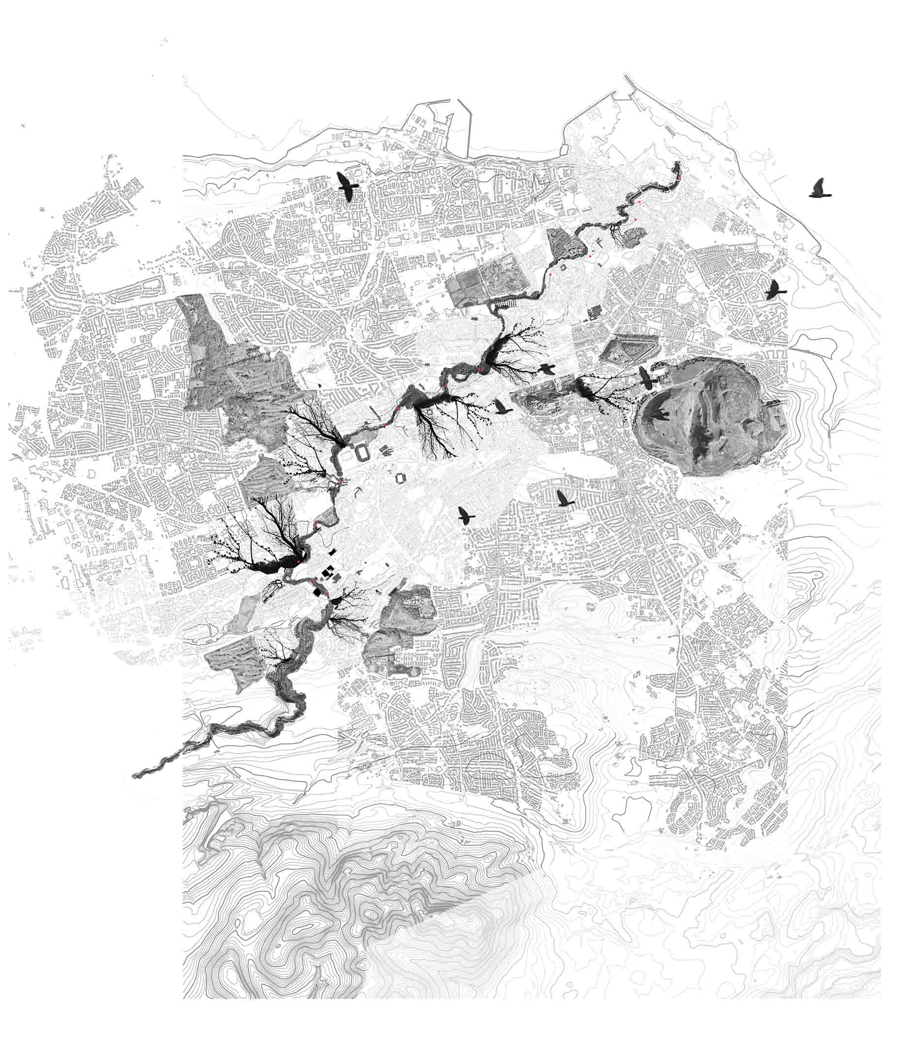 Entangled Interfaces Urban Proposal