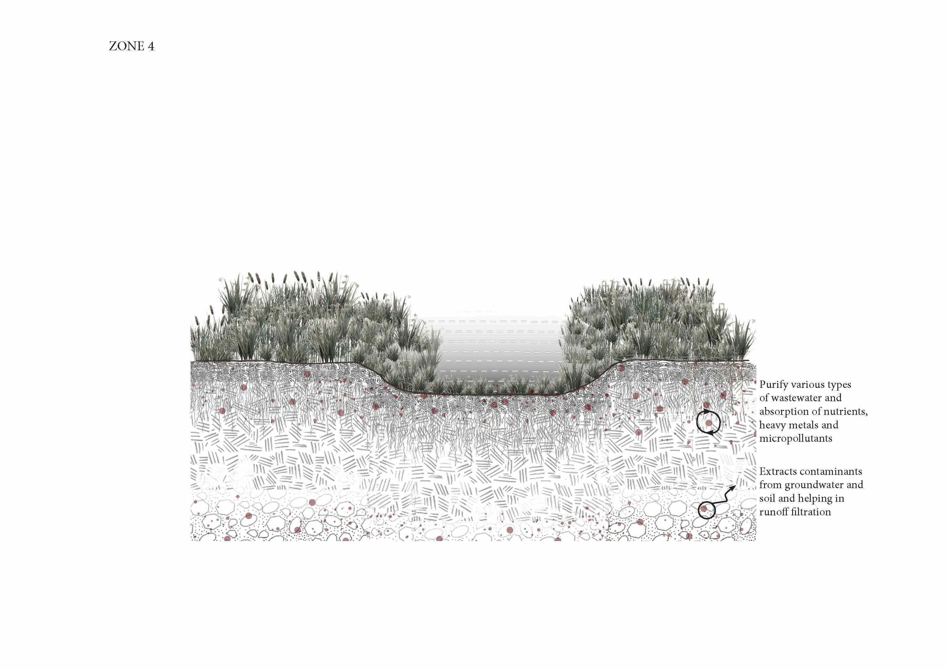 Phytoremediation zone 4 scheme