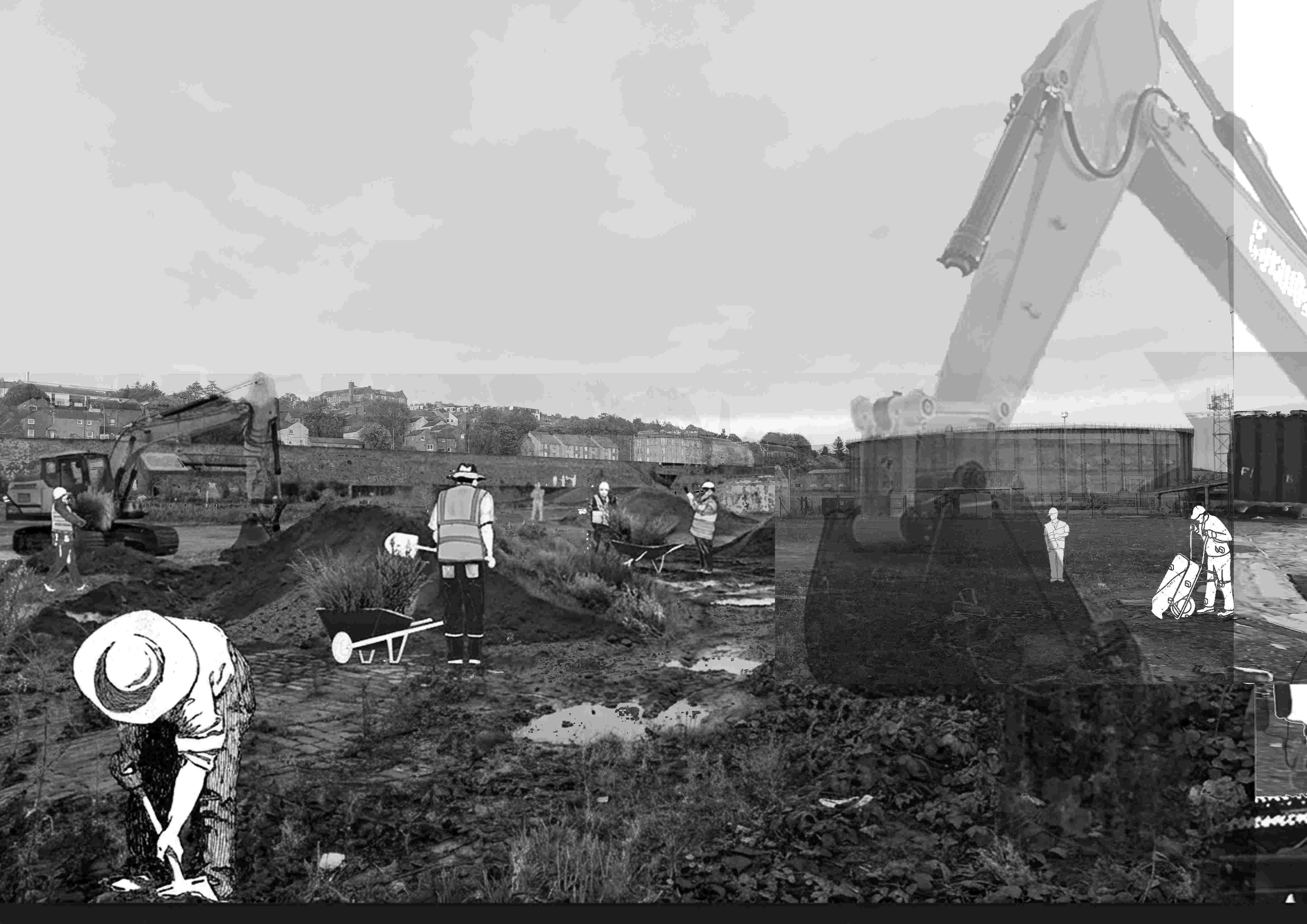 Site regeneration visual