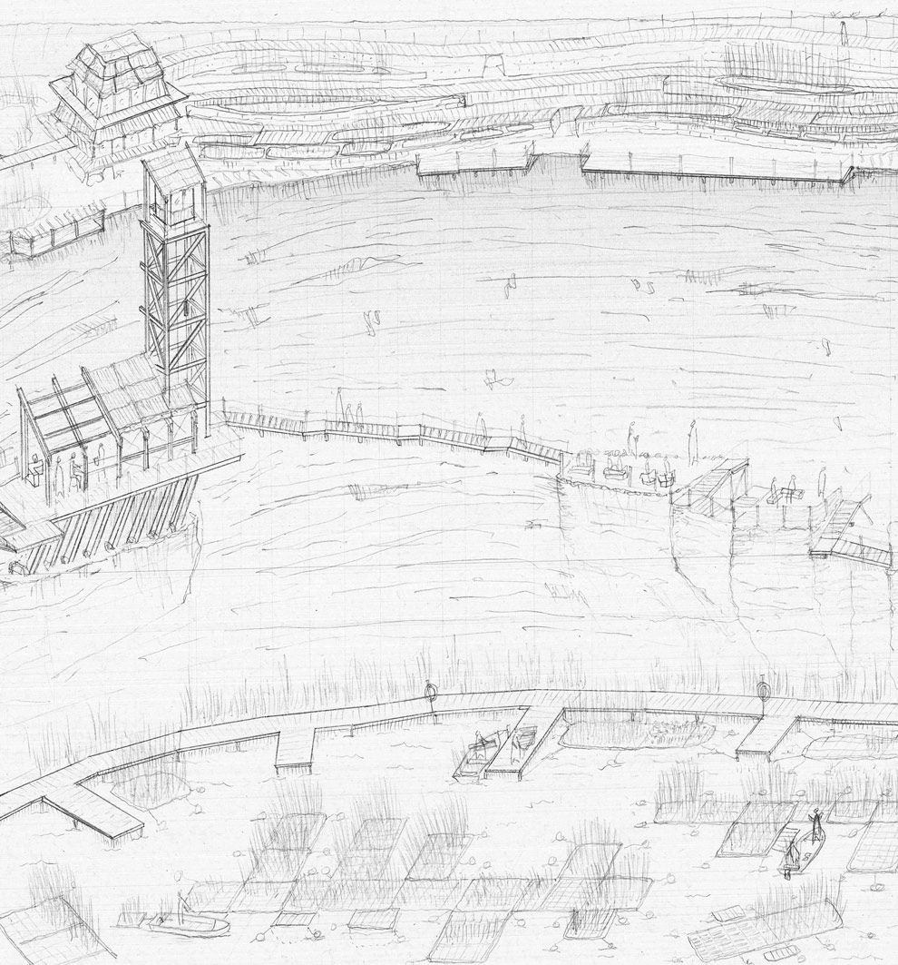 Transect Close Up P4