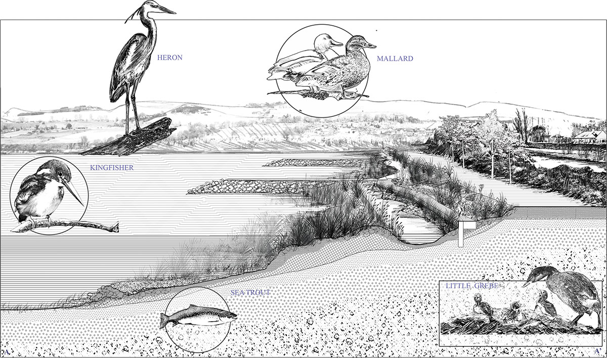 Site A detail section