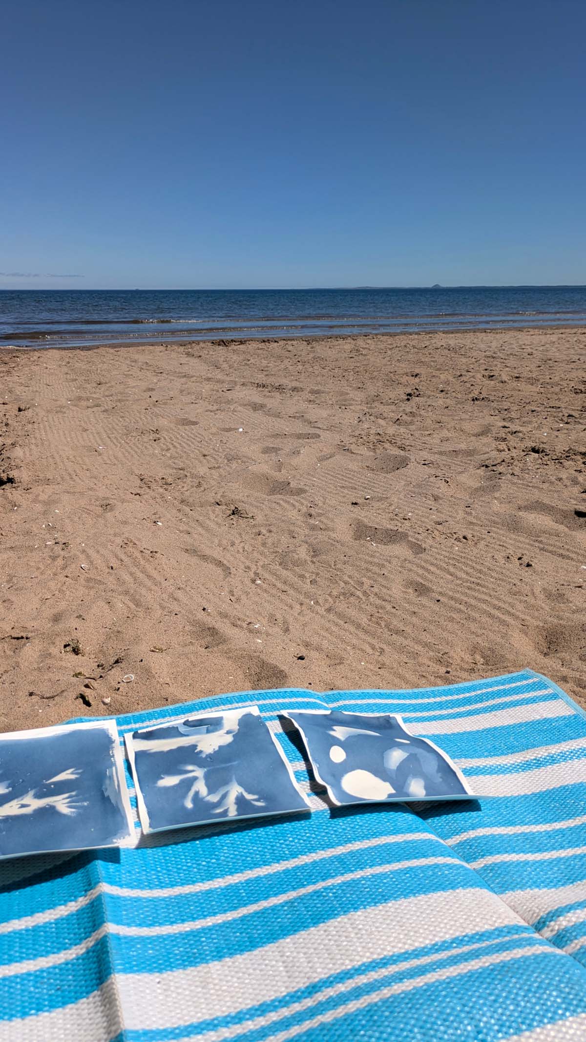 Cyanotypes at the beach