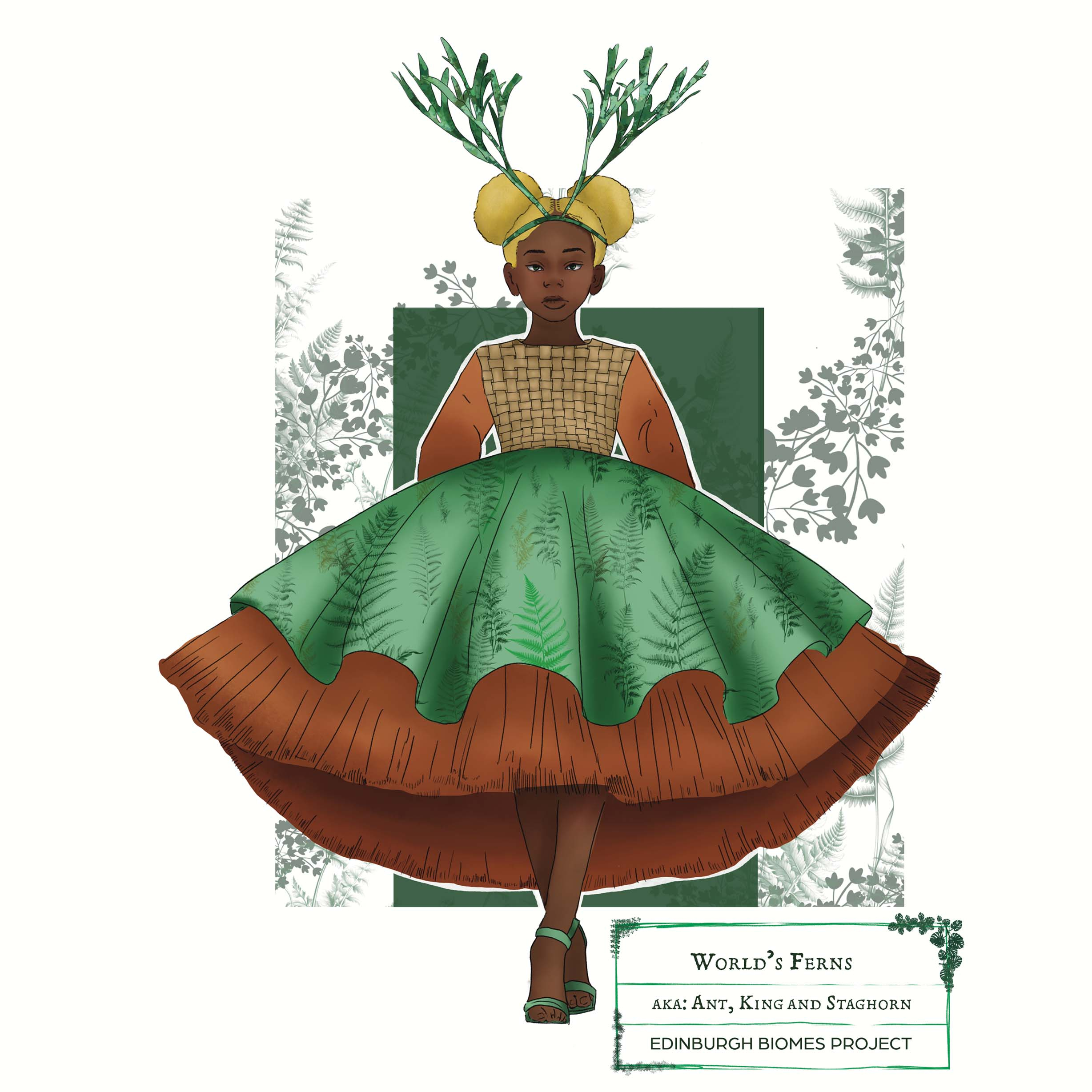 Fern illustration