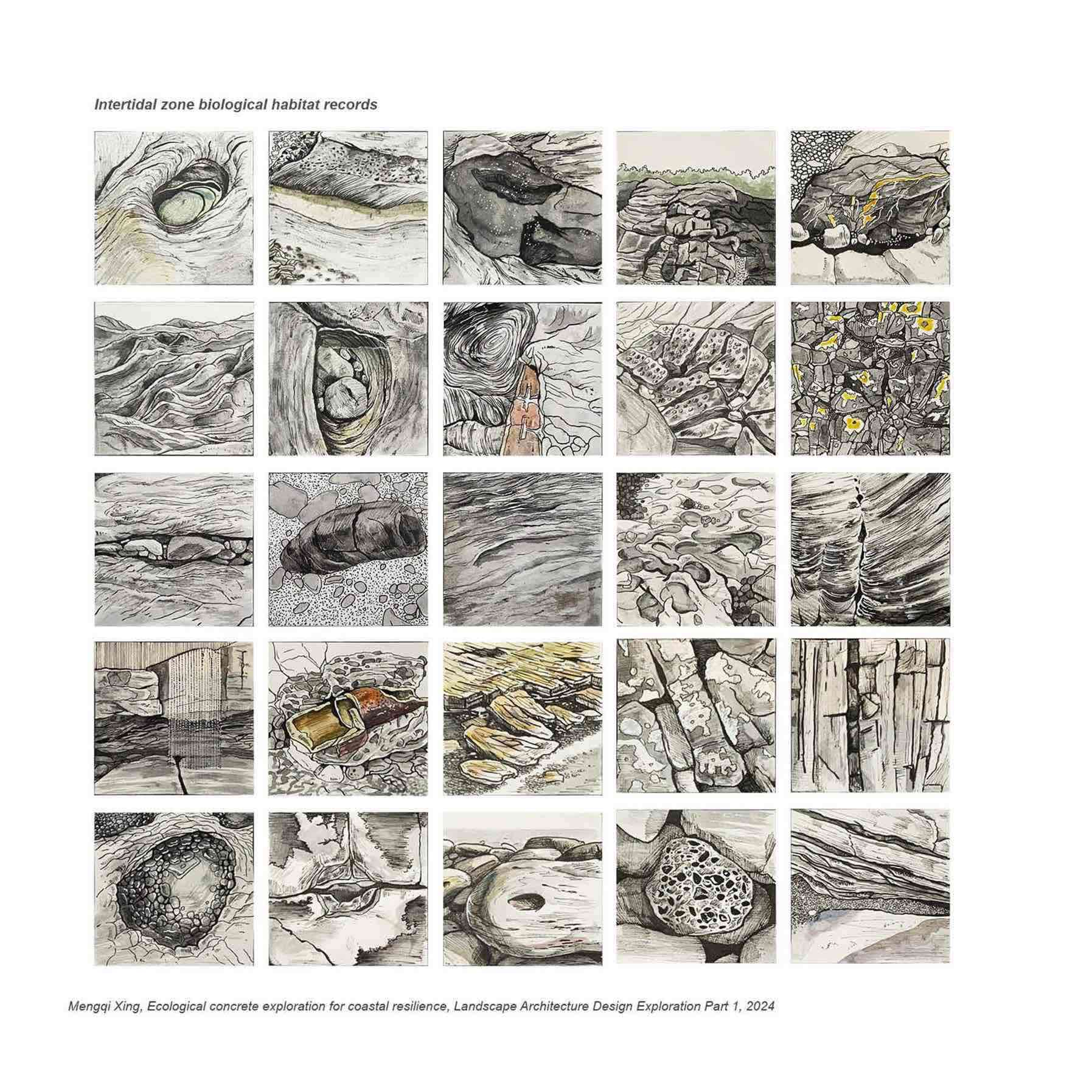 Intertidal Zone Biological Habitat Records