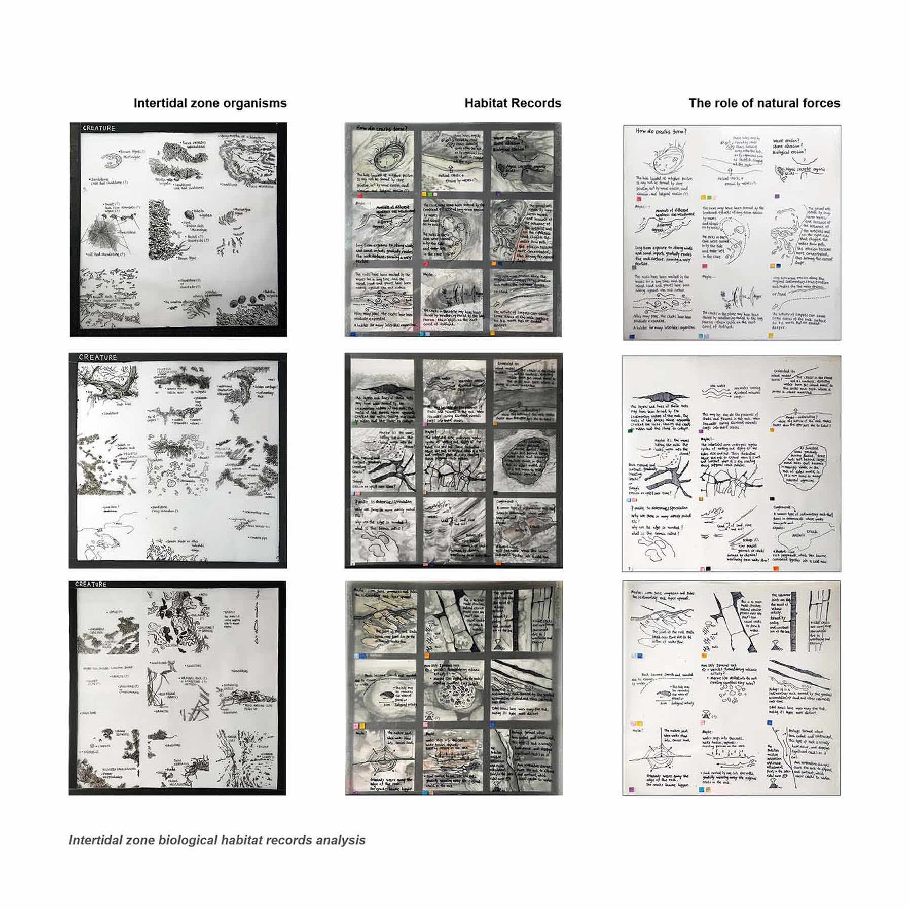 Foundation of Ecological Structure Modelling