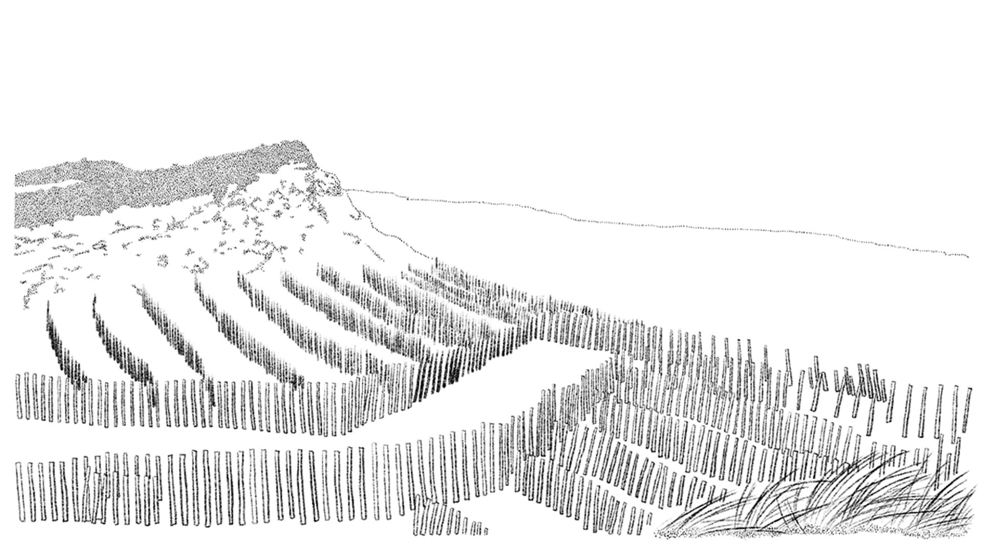 Future Scene of Sand Dune