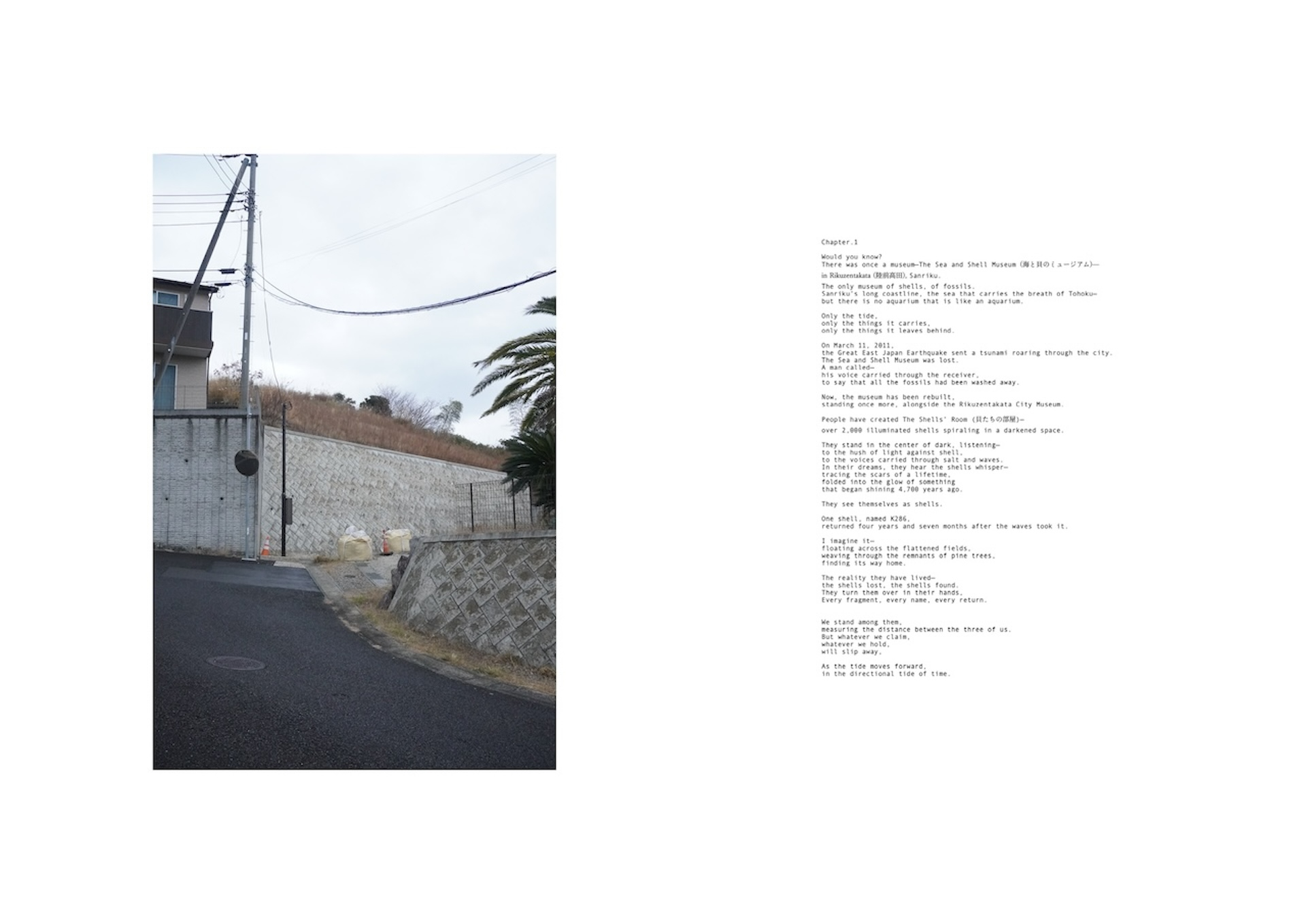 Personal Archive #Chapter 1- Peninsula