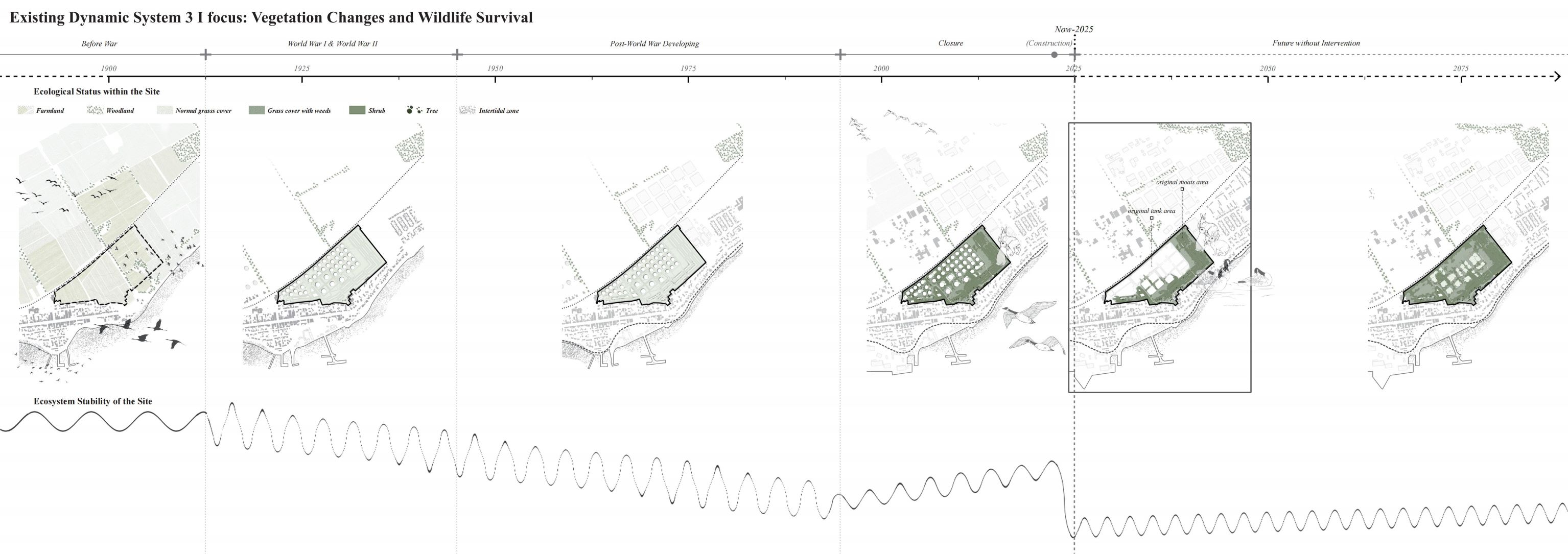 Existing Dynamic System 3 I focus: Vegetation Changes and Wildlife Survival