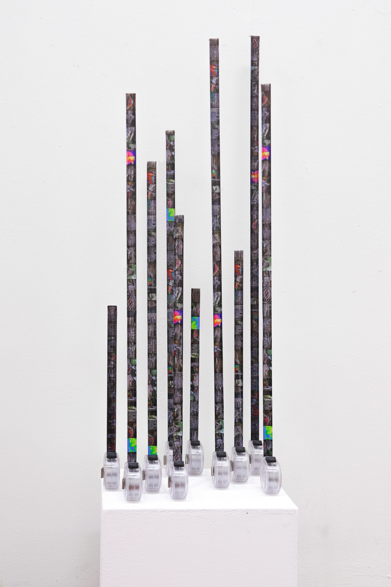 Macey Zhao, Feral Cat Eviction Project