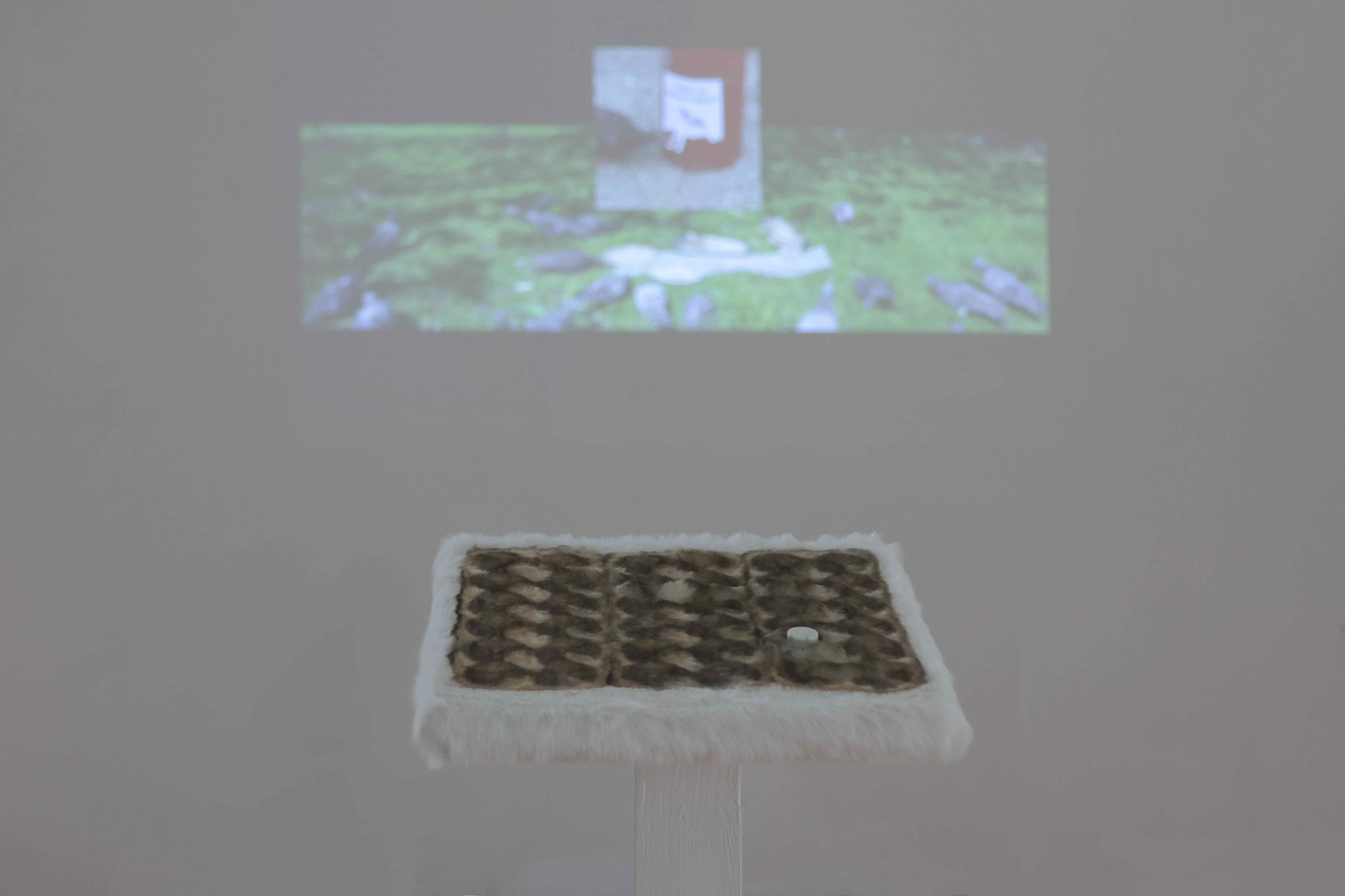 Macey Zhao, Detail of Gone with the wind… 