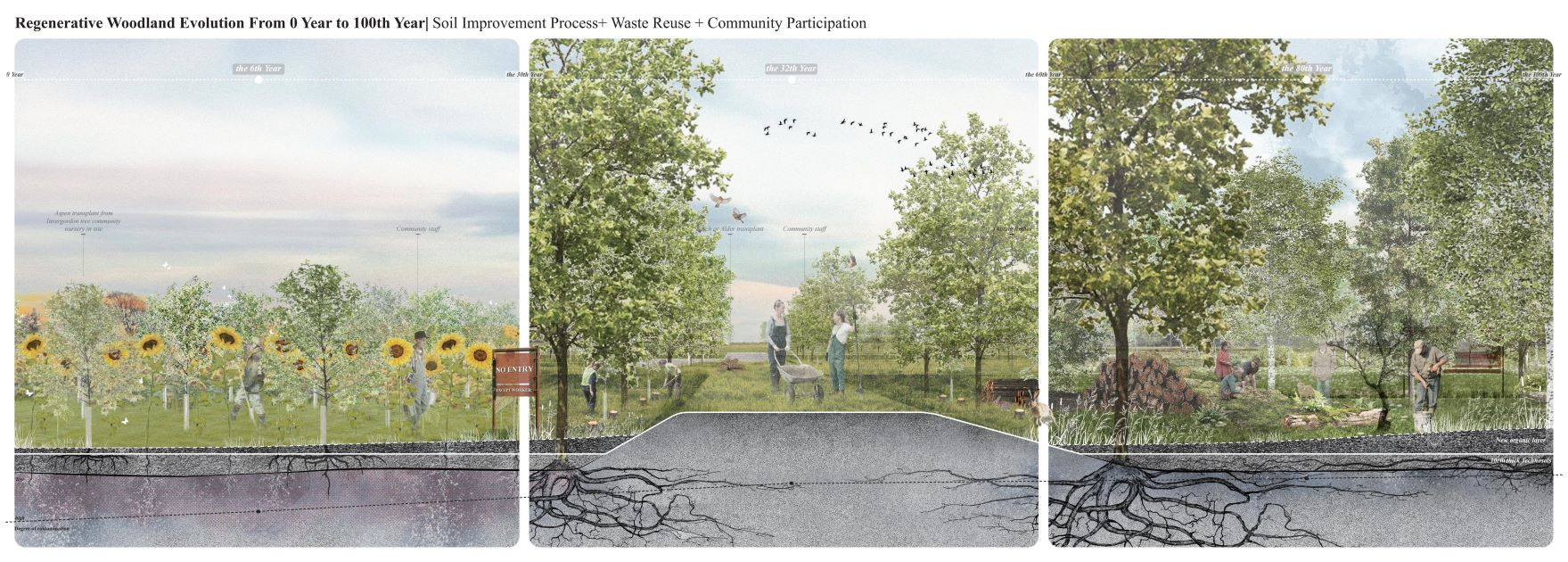Regenerative Woodland Evolution From 0 Year to 100th Year| Soil Improvement Process+ Waste Reuse + Community Participation
