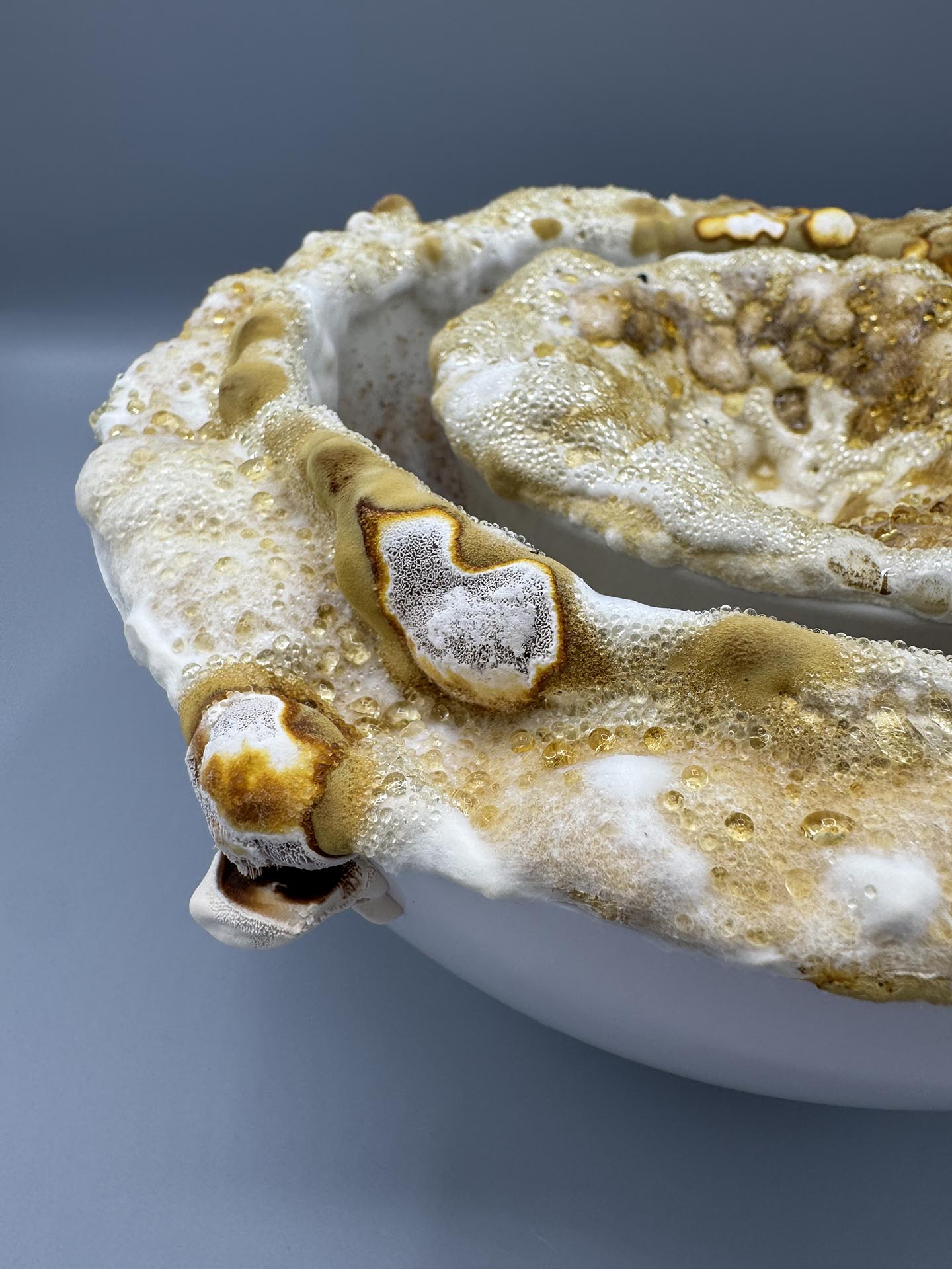 A close-up of a mycelium growth