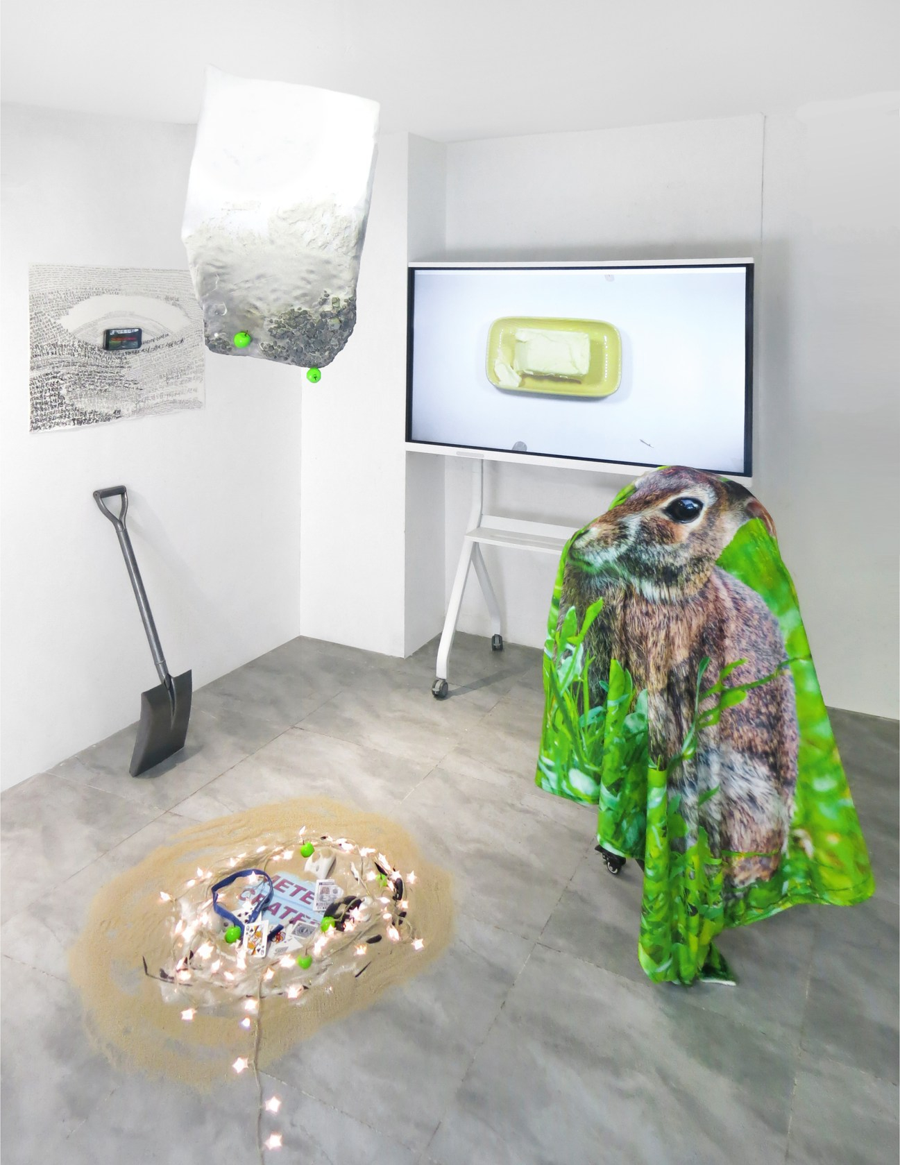 Macey Zhao, Concave Myth