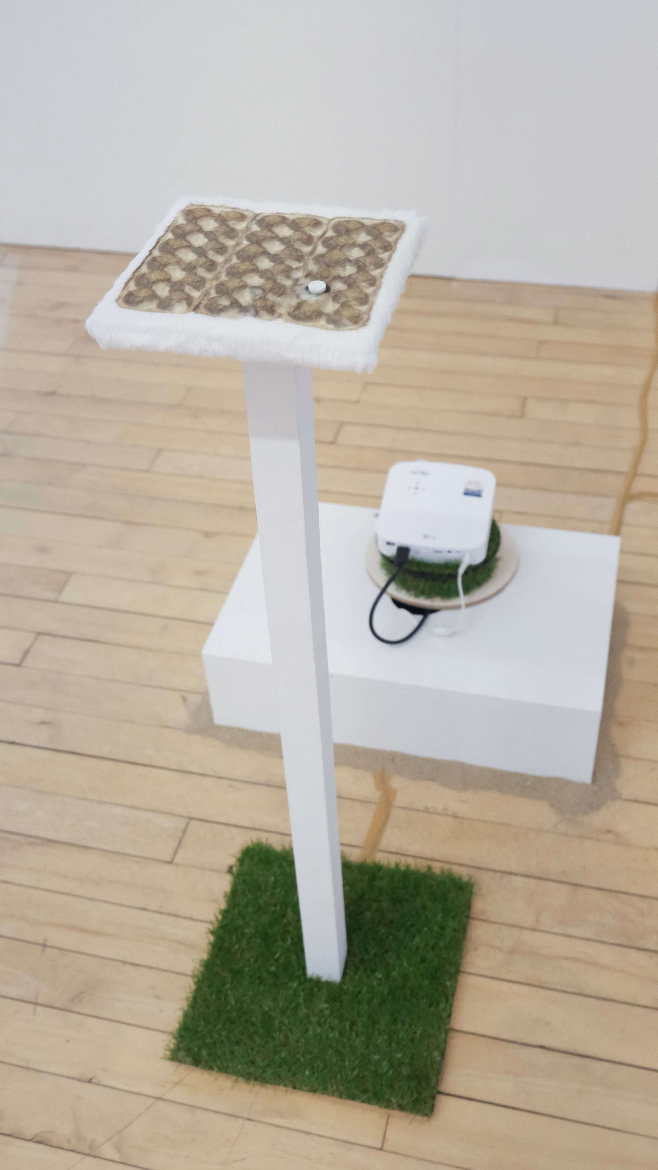 Macey Zhao, Detail of Gone with the wind… 