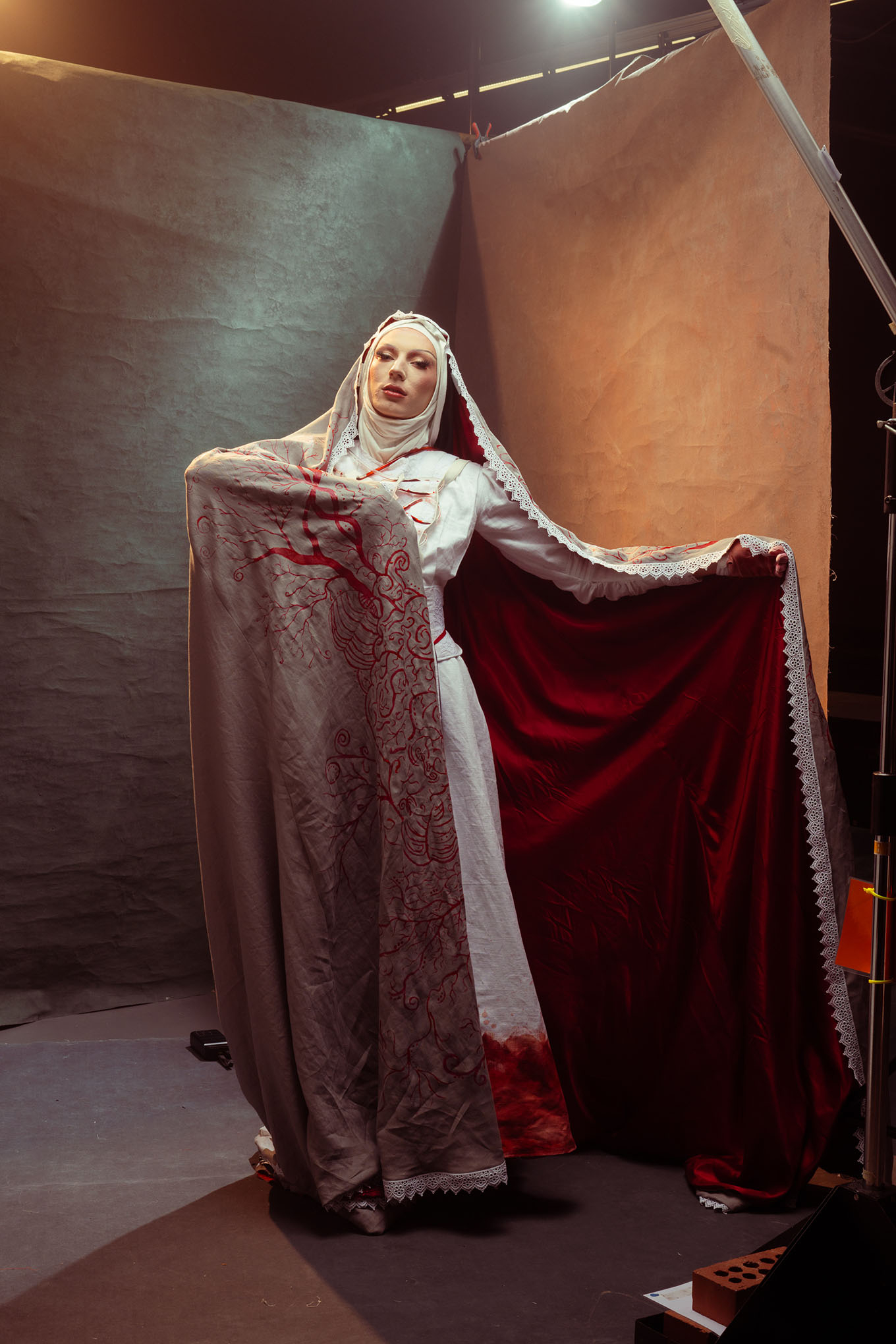 amelia costume