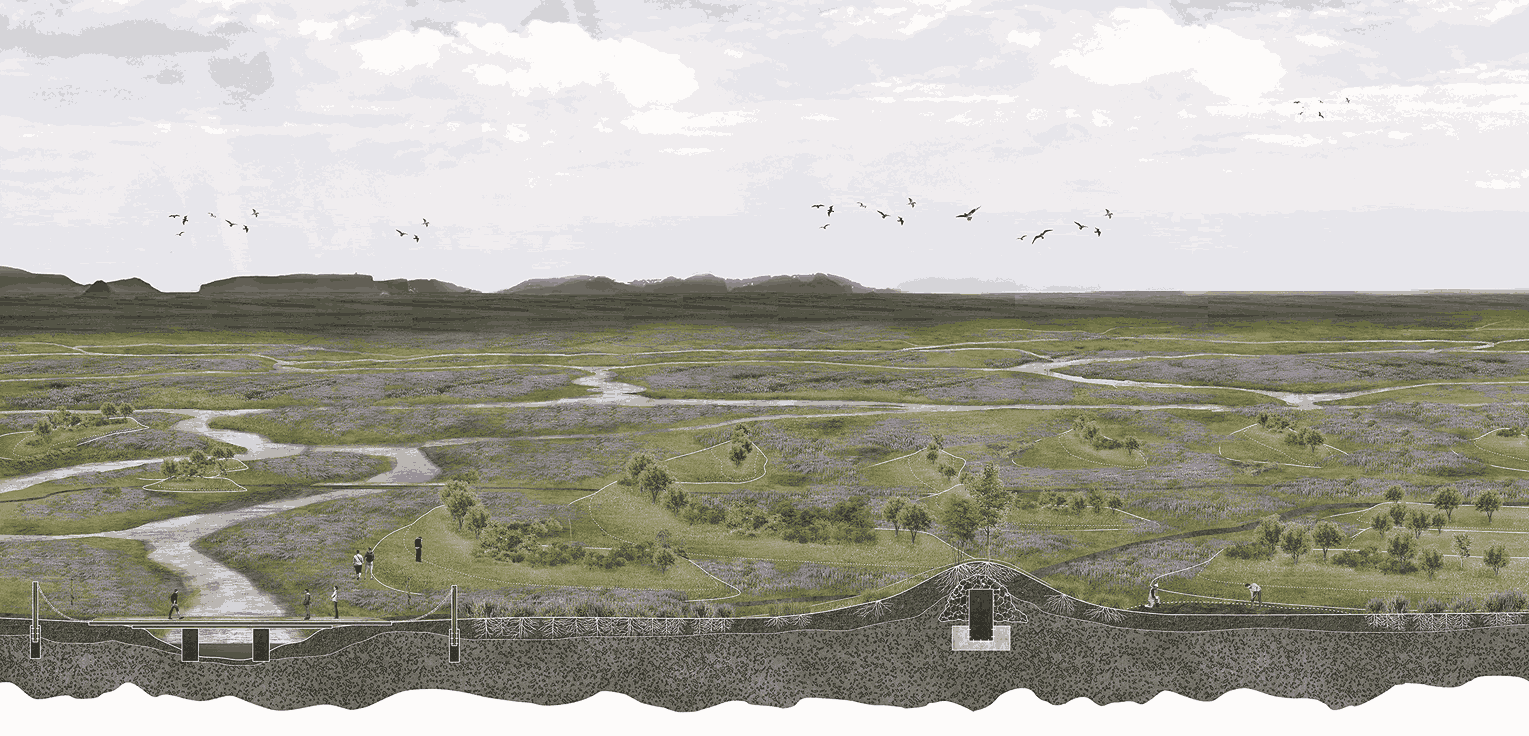 Lupine island normal