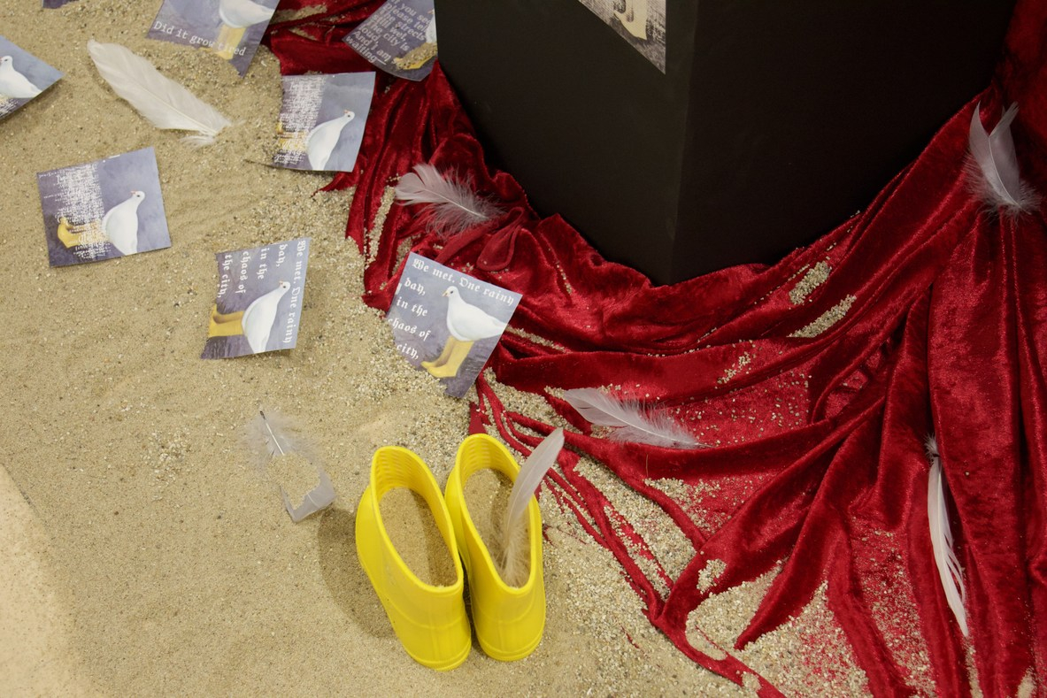 Macey Zhao, Pigeons Are Just Birds Without Rain Boots