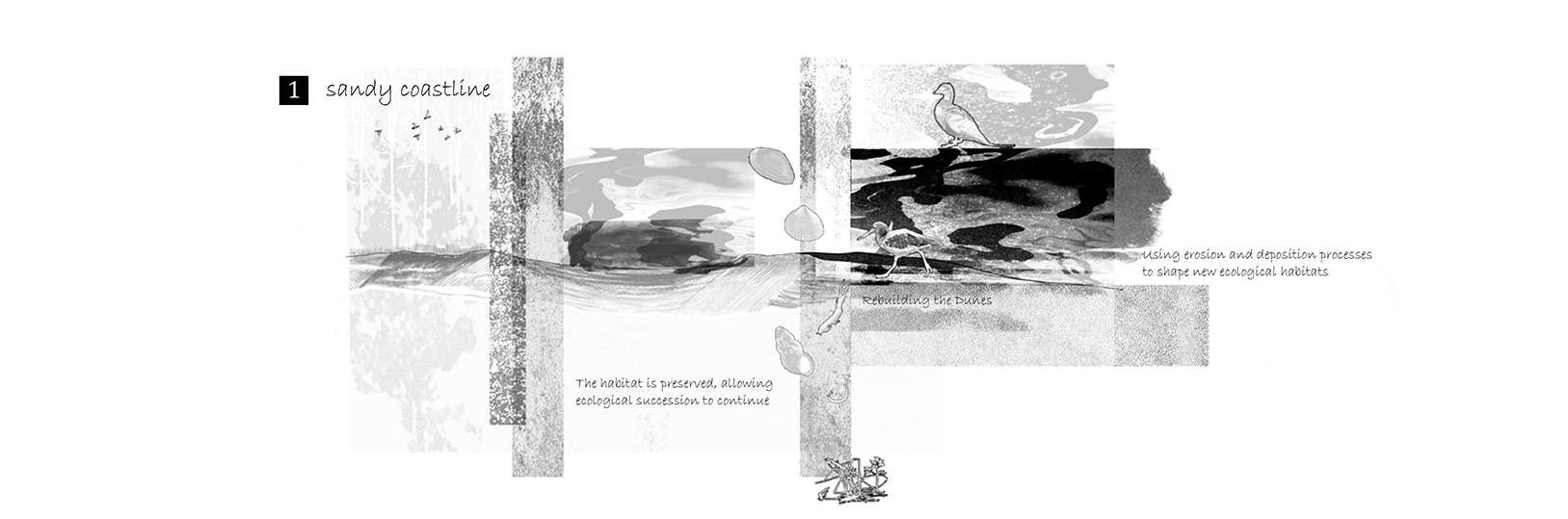 Interweaving Ecology and Phenomenology