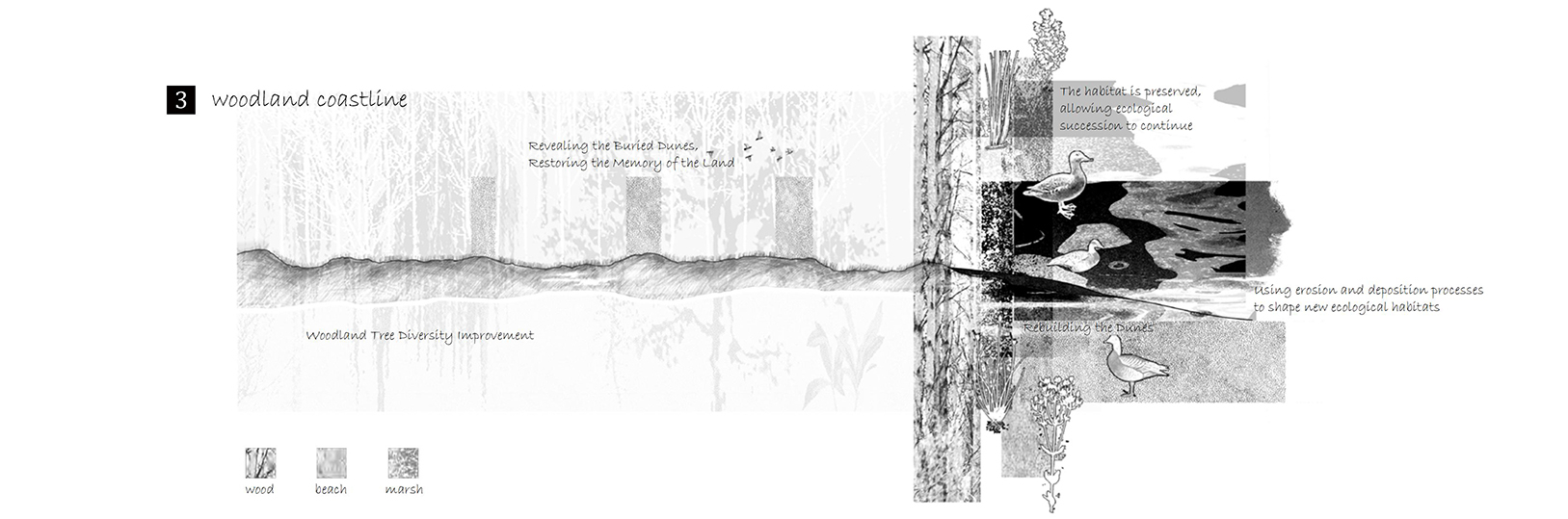 Interweaving Ecology and Phenomenology