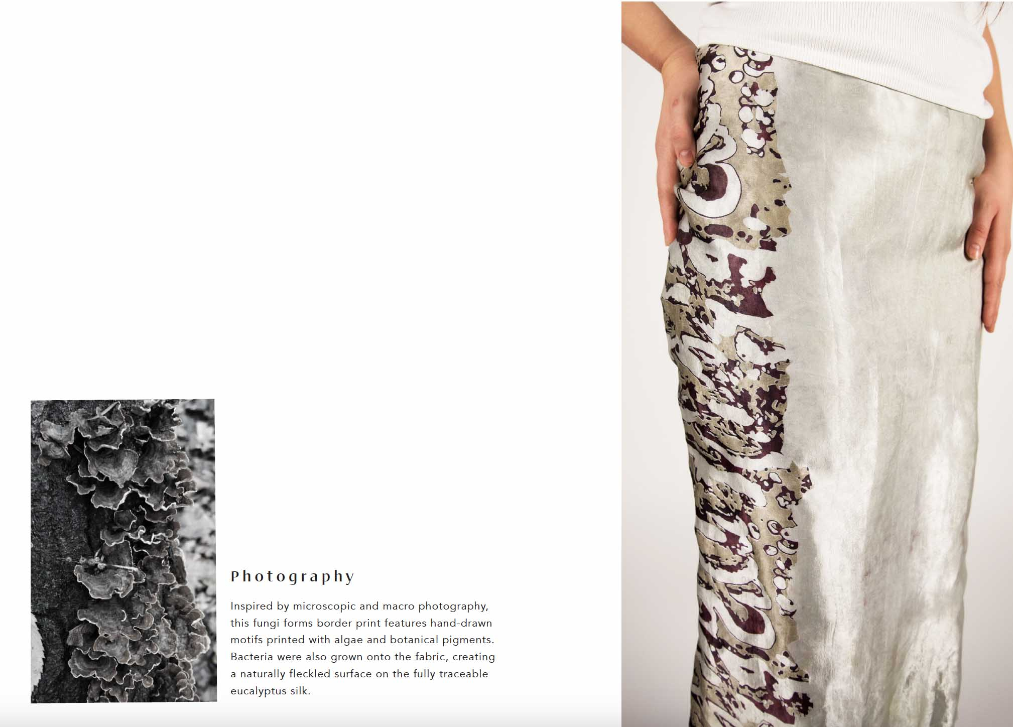 Photography which inspired piece, and mushroom border print