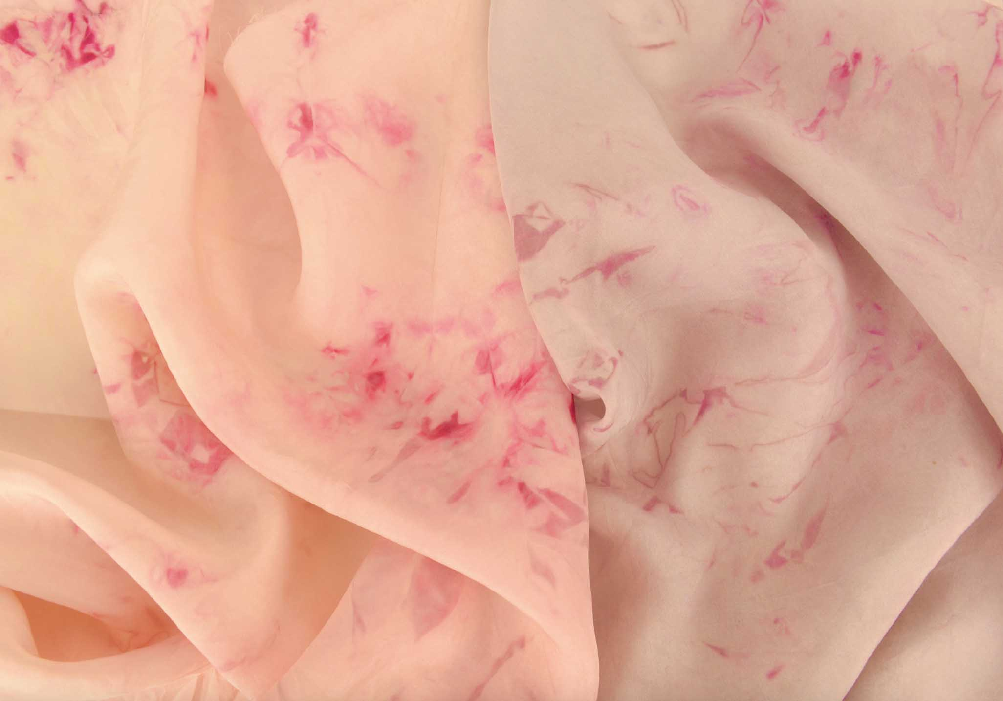 close up of bacteria