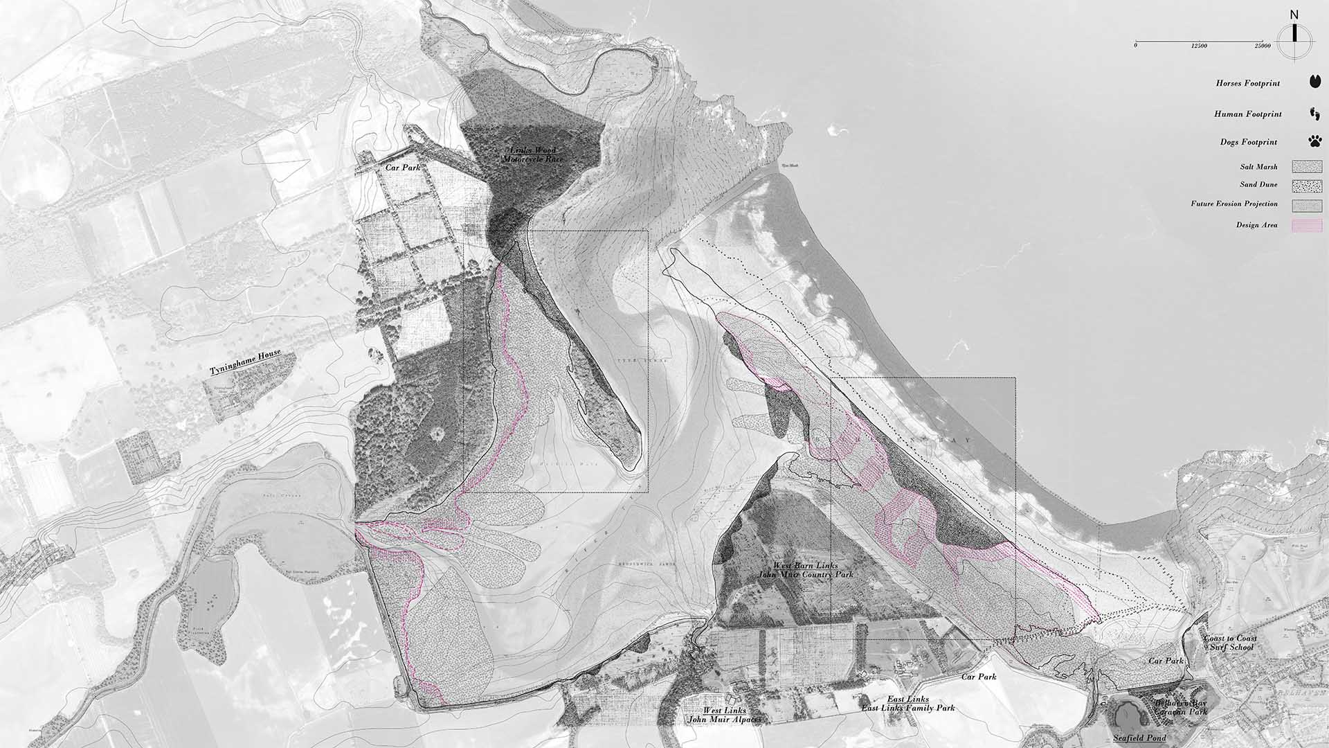 Dynamic Systems in Belhaven Bay