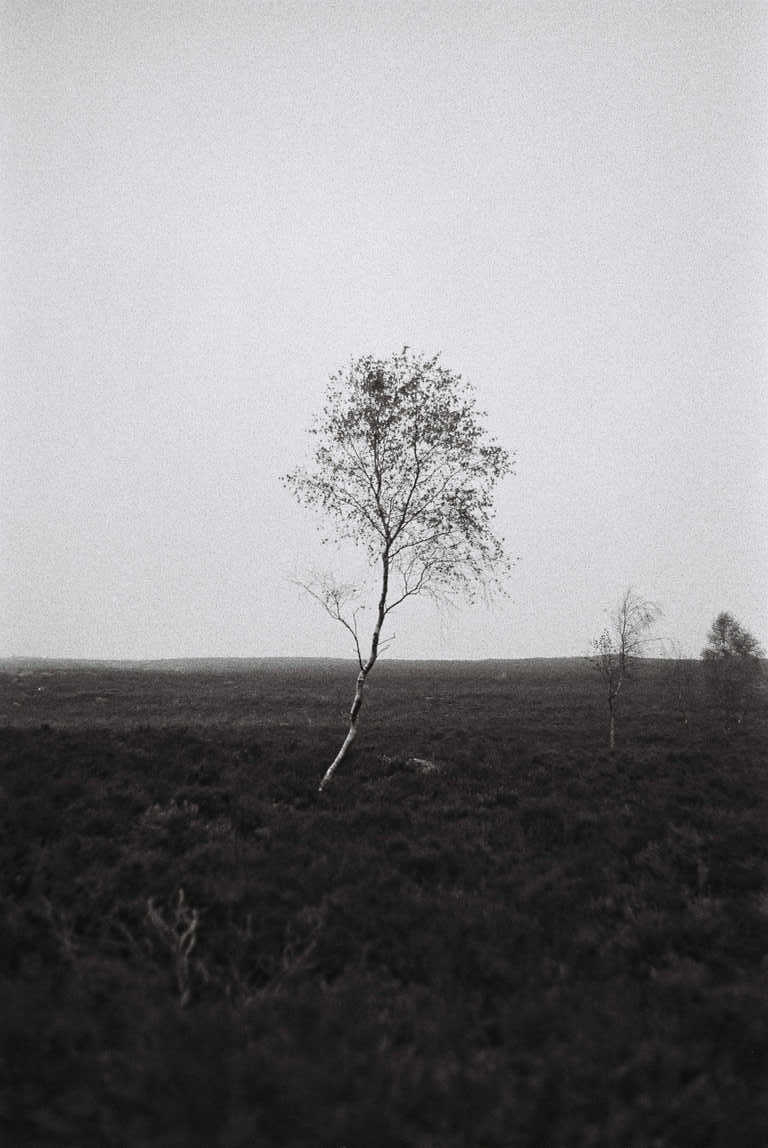 35mm film photograph