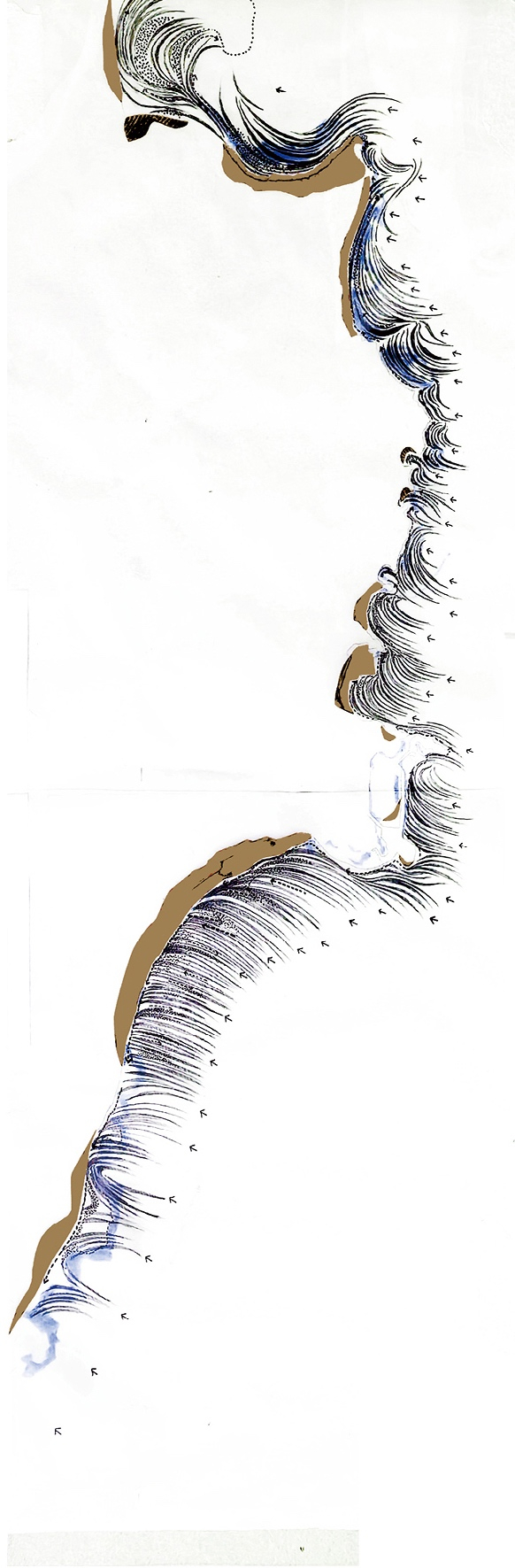 Dynamic Region (wave-tide - sediment)
