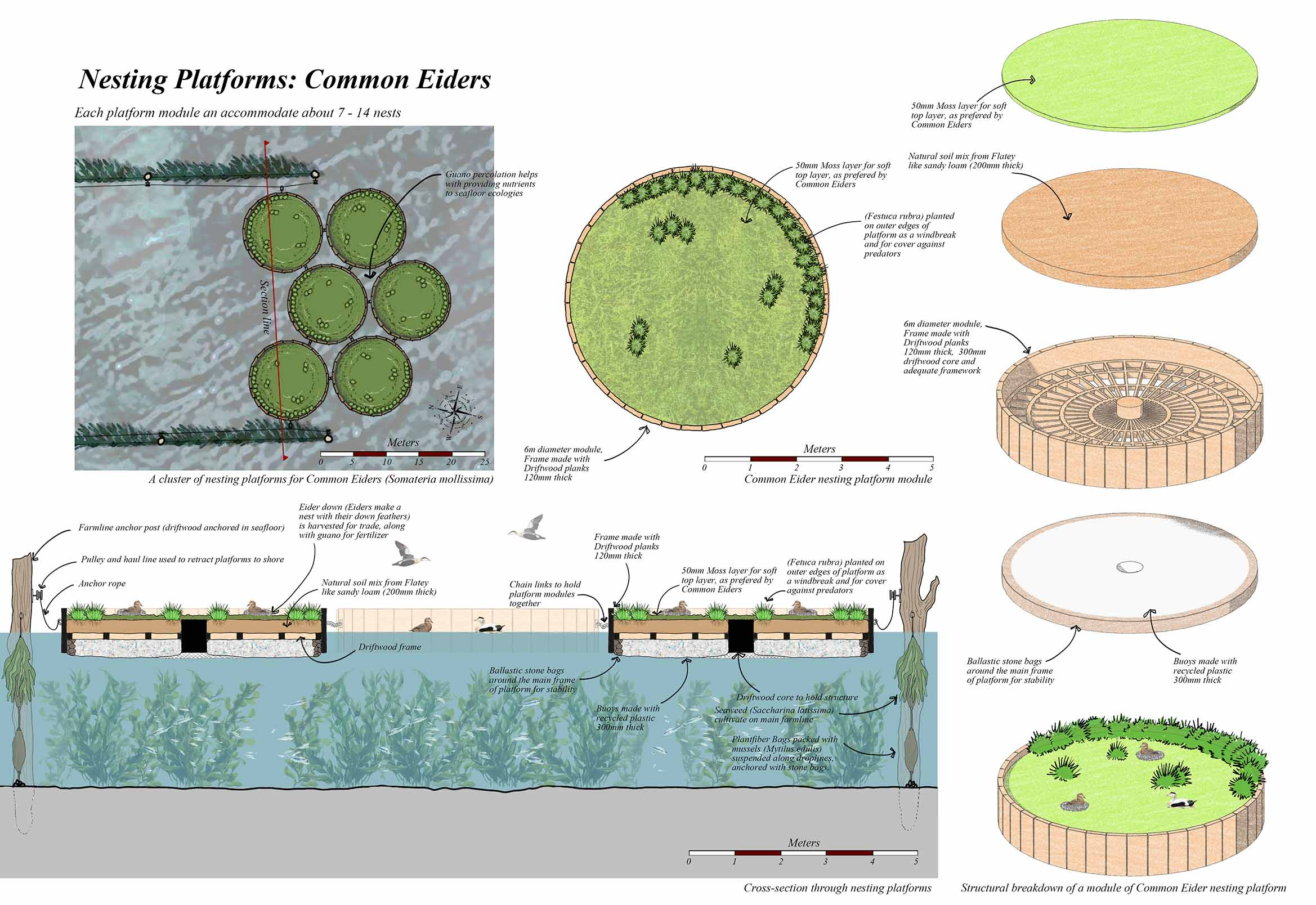 Floating Nesting Platforms for Common Eiders
