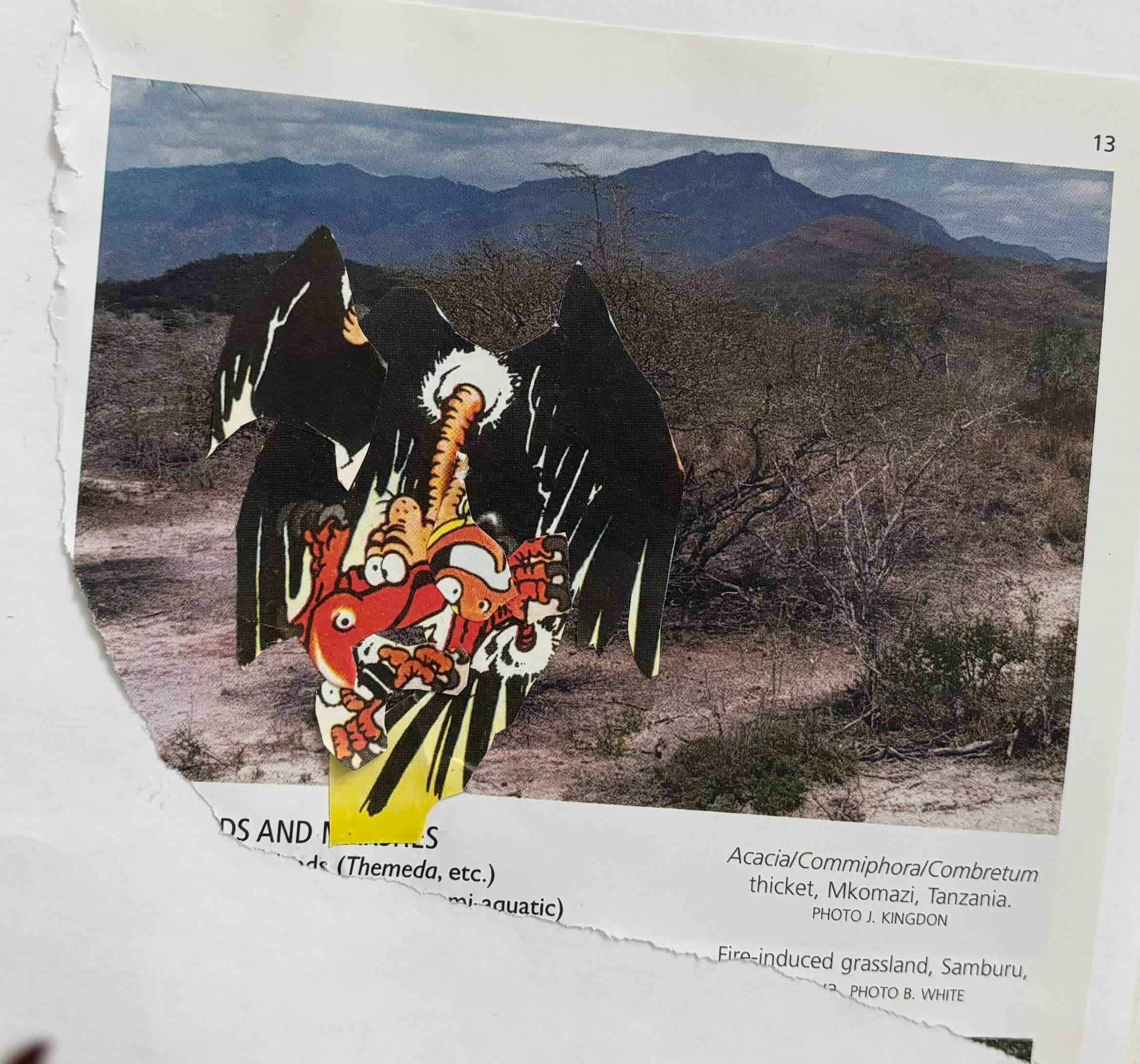 paper collage of eagle and comic eagle 