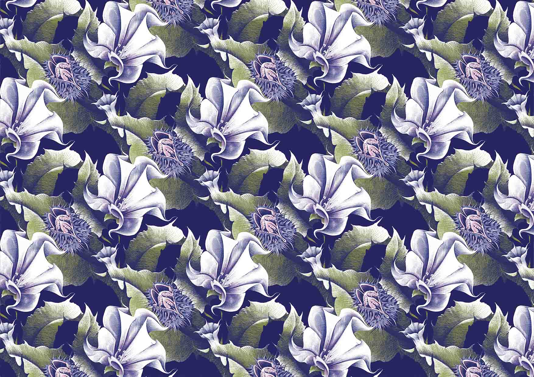 A pattern based on Datura Stramonium flower, leaves and seed pod.
