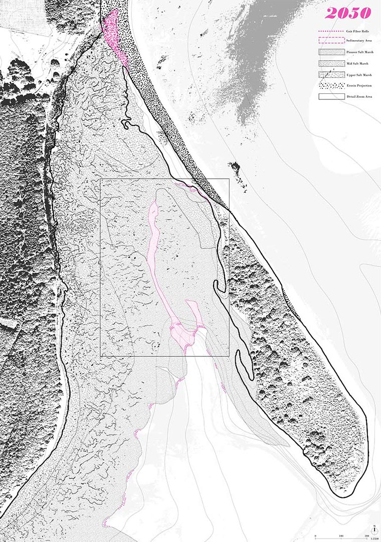 Salt Marsh Habitat Map 2050