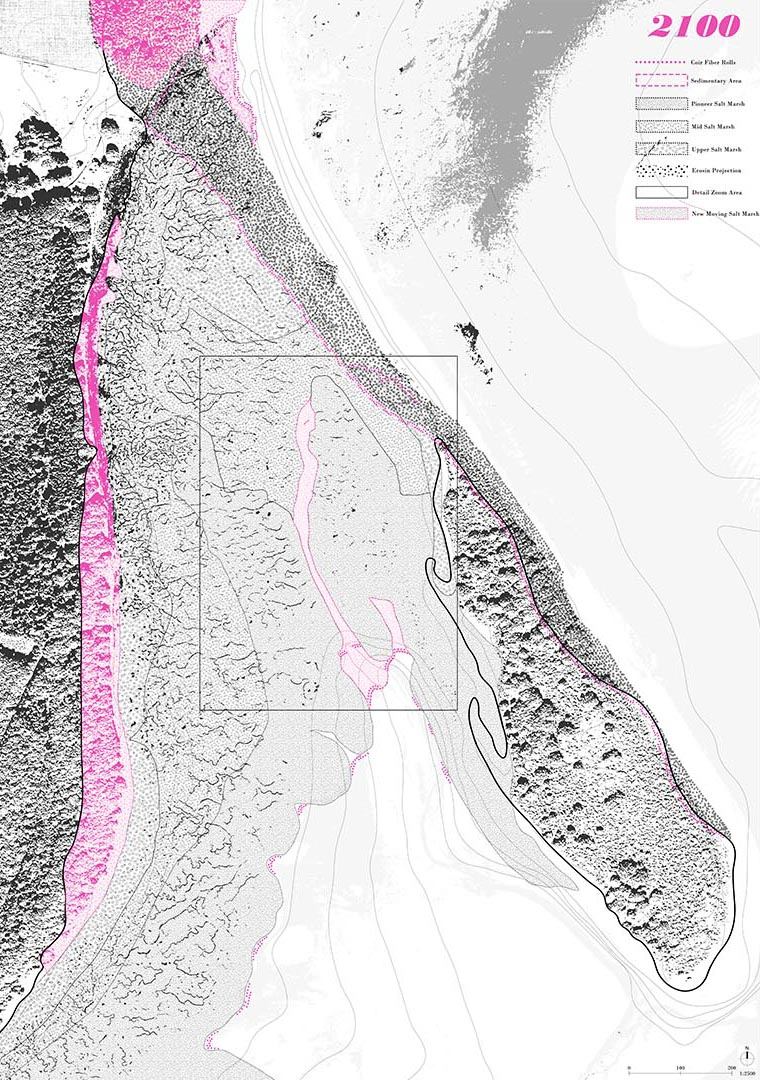 Salt Marsh Habitat Map 2100