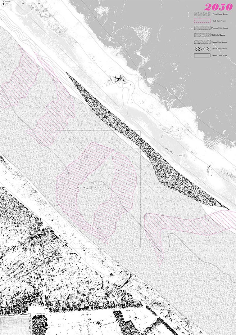 Sand Dune Habitat Map 2050