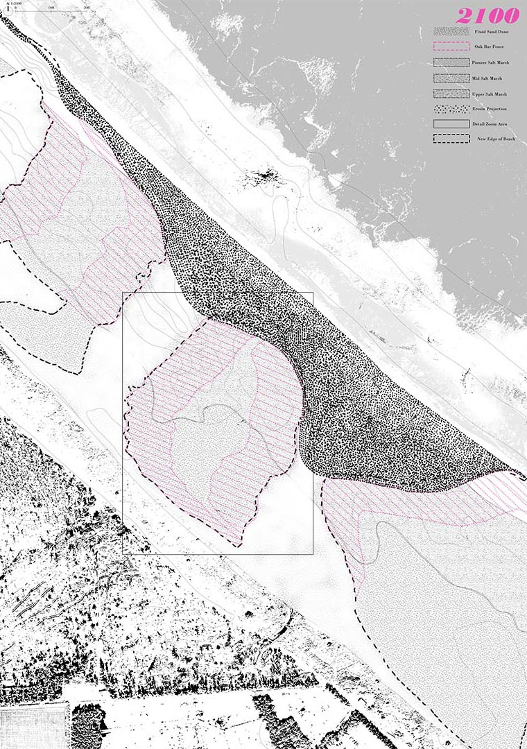 Sand Dune Habitat Map 2100
