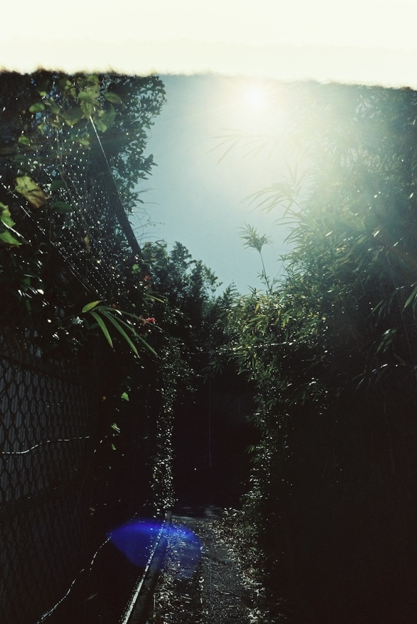 Personal Archive #Chapter 2-Sea of Nebukawa