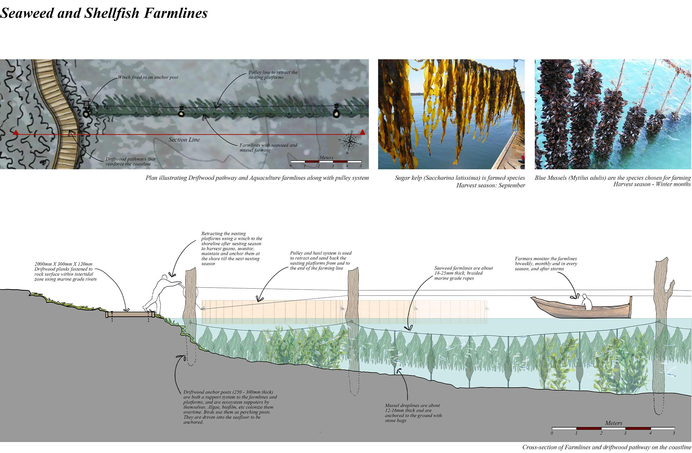 Shellfish and Mussel Farmlines